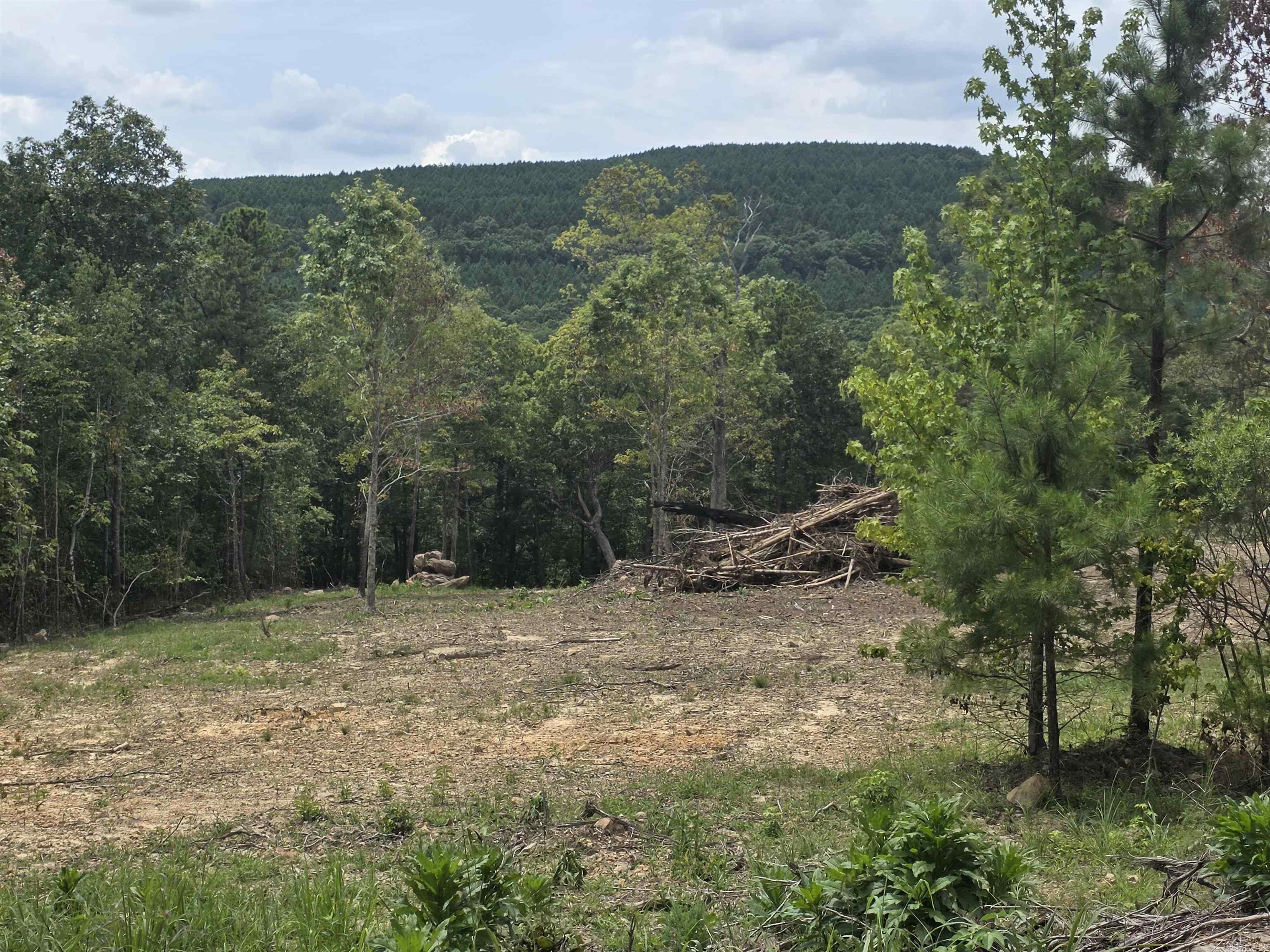 Lot 9 Scenic View