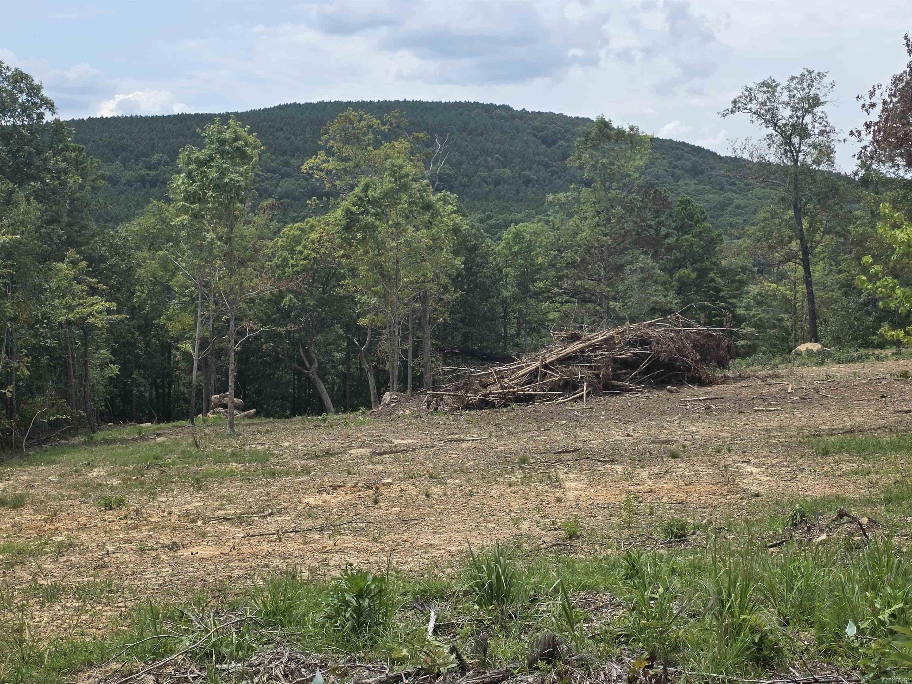 Lot 9 Scenic View Property Photo 2