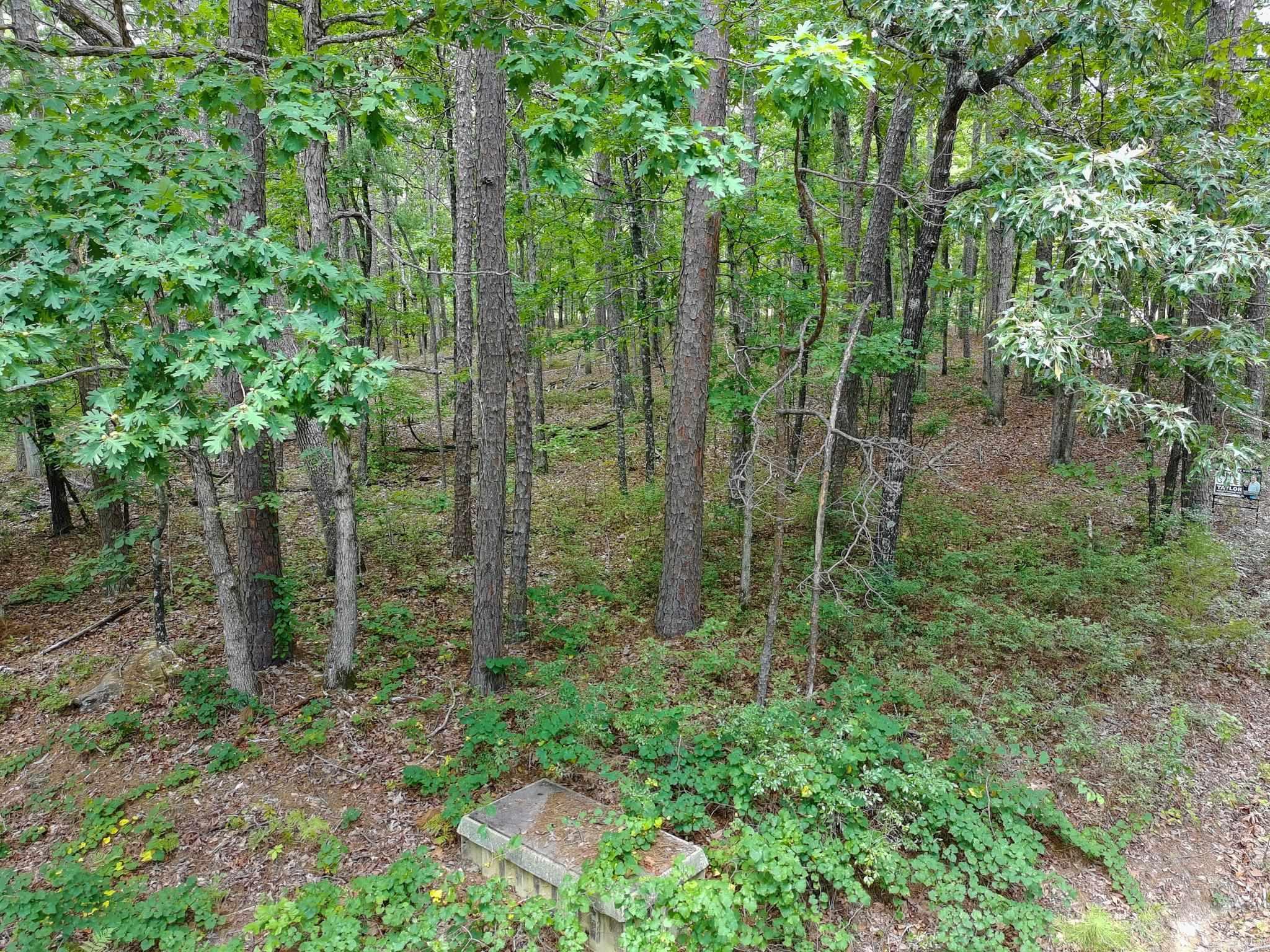 2 Moncada Way Property Photo 6