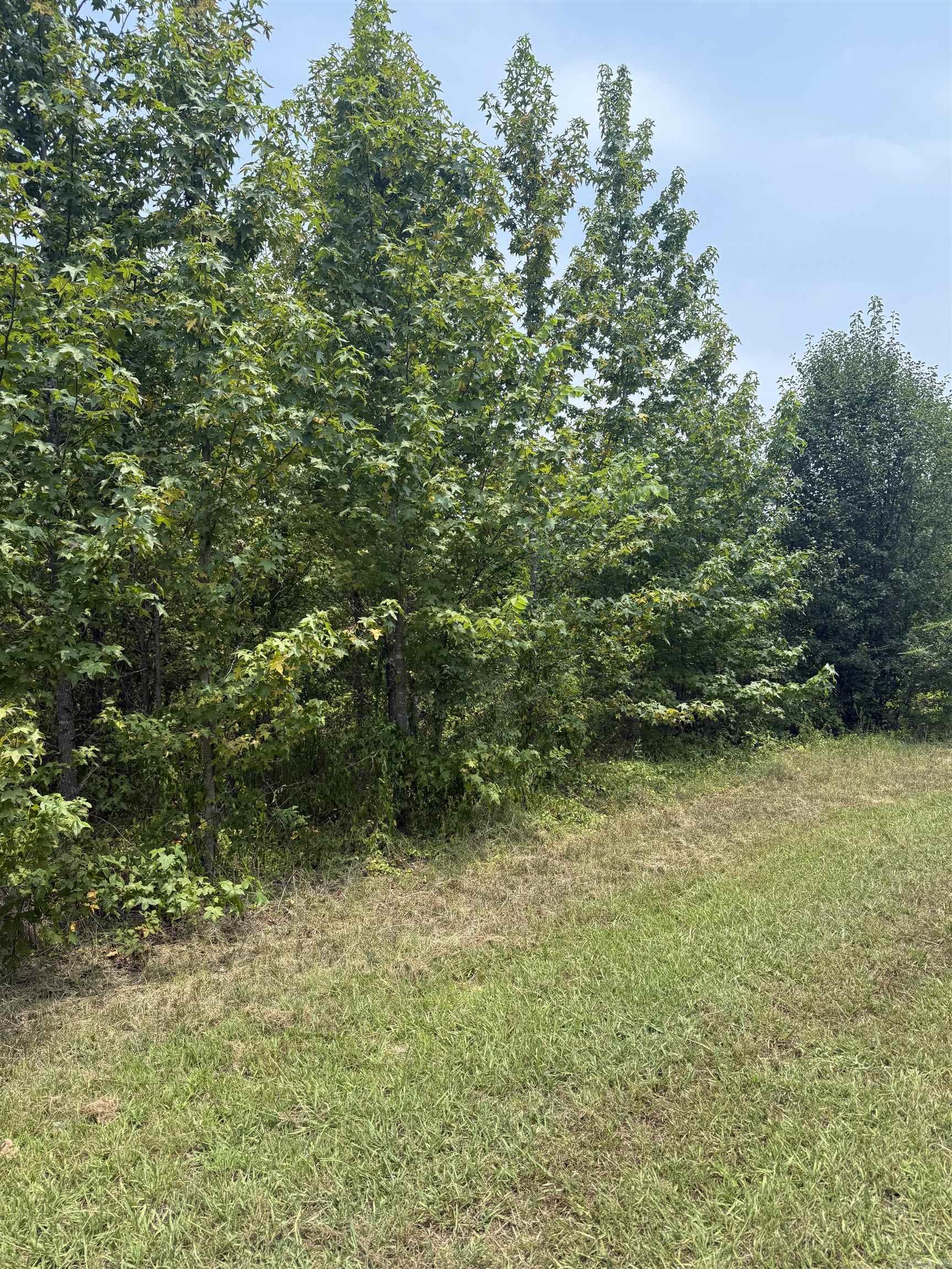Lot 13 Gamble Lane Property Photo 2
