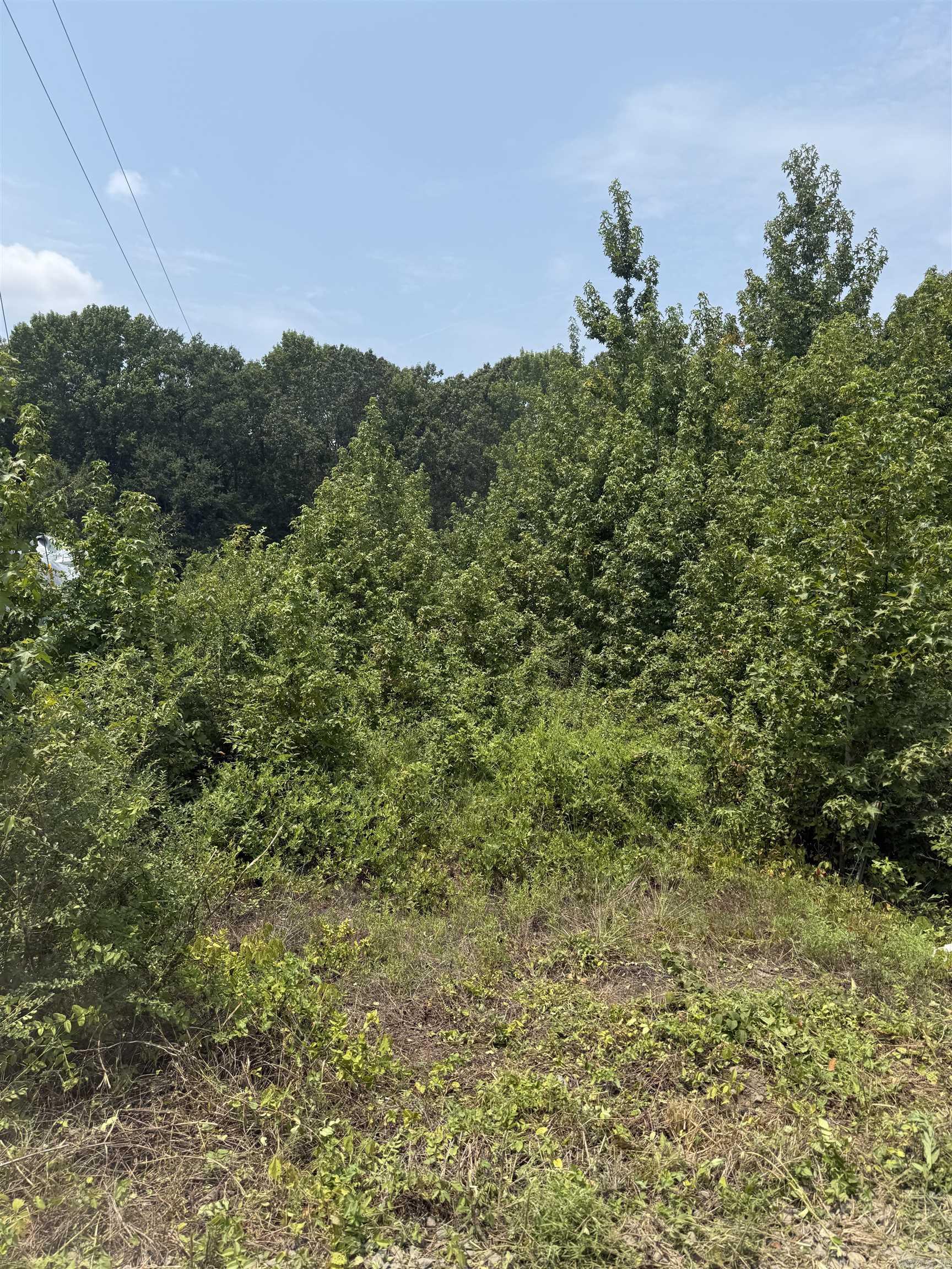 Lot 13 Gamble Lane Property Photo 3