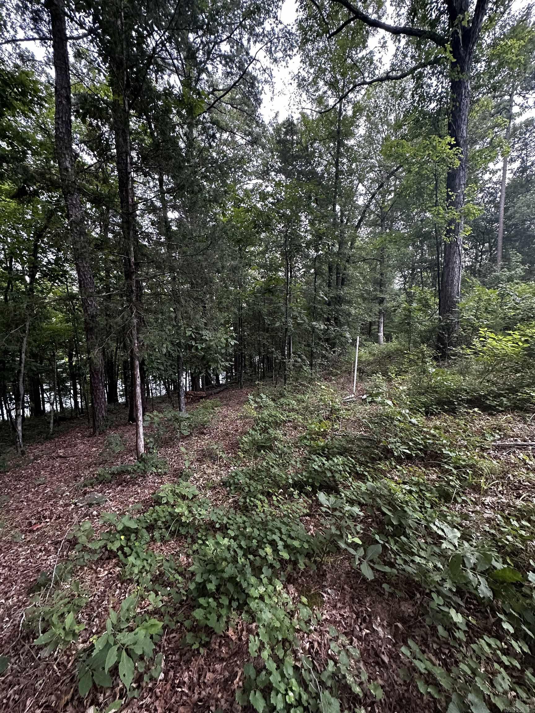 Lot 70 Cobalt Bay Drive Property Photo 5