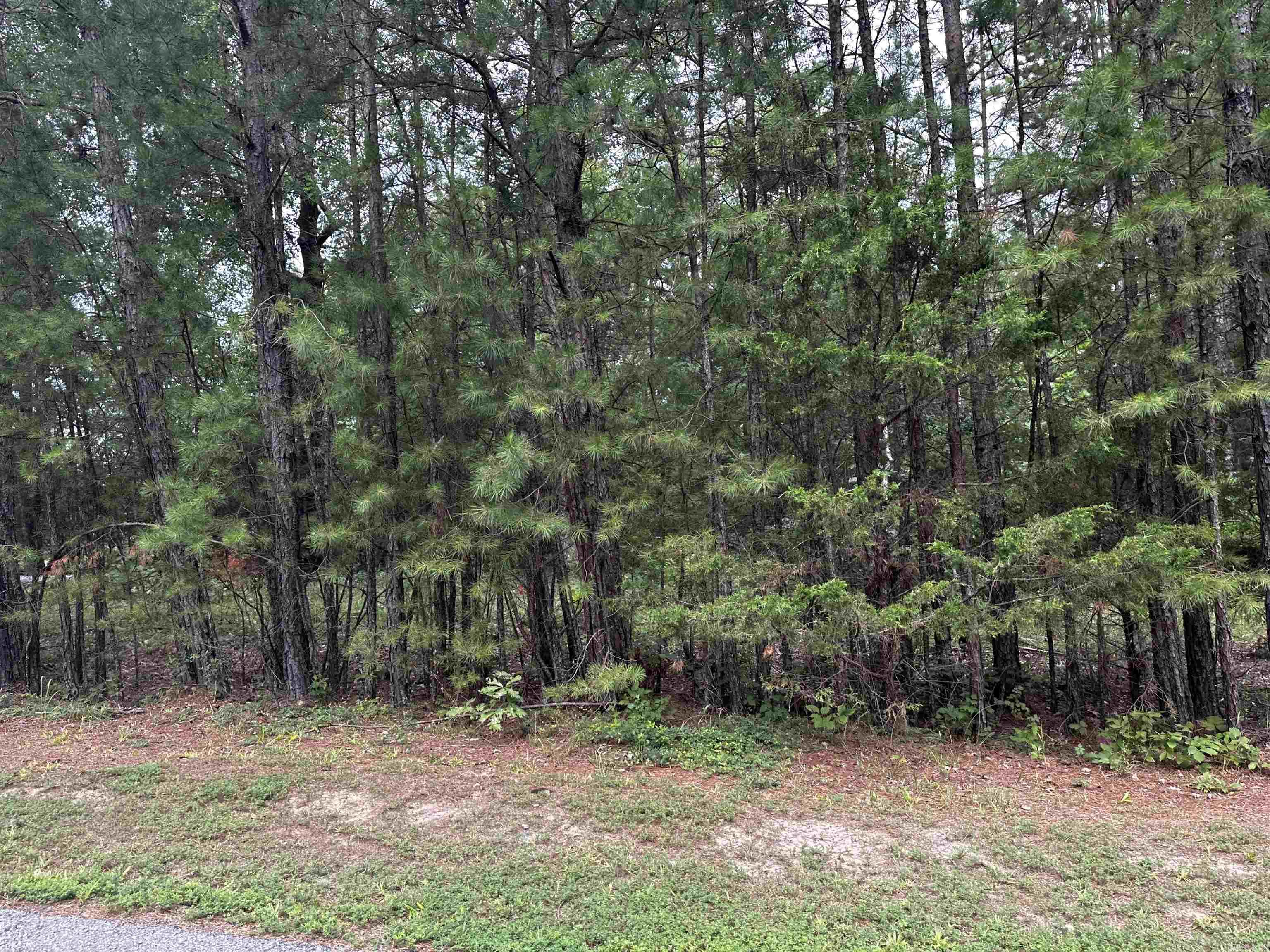 Lot 87 Cobalt Bay Drive Property Photo 2