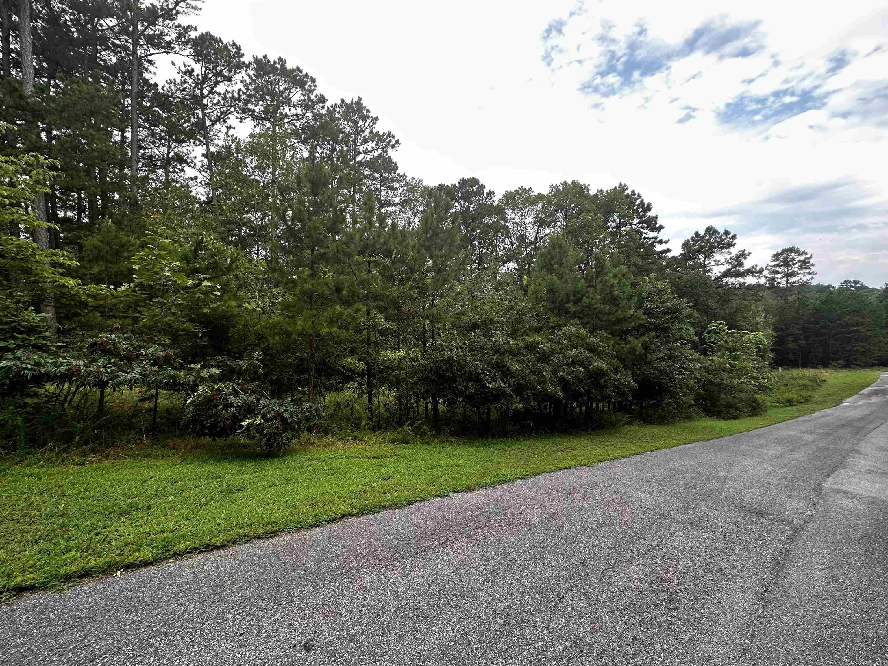 Lot 89 Cobalt Bay Drive Property Photo 3