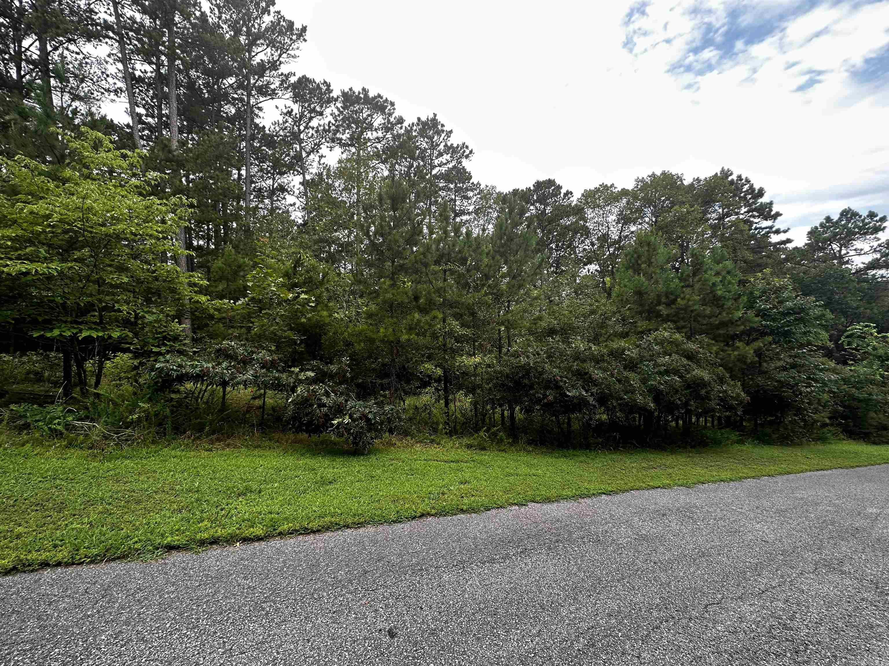 Lot 90 Cobalt Bay Drive Property Photo 2