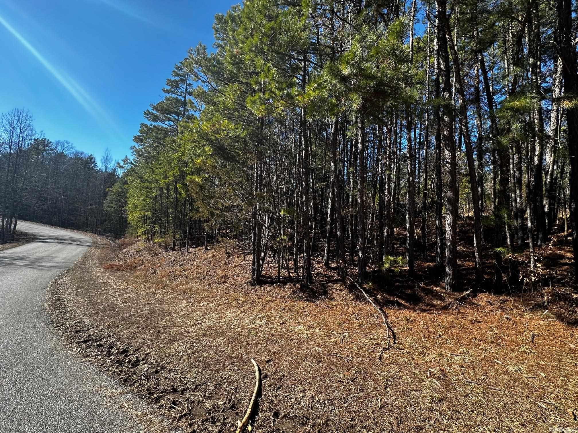 Lot 108 Cobalt Bay Drive Property Photo 2