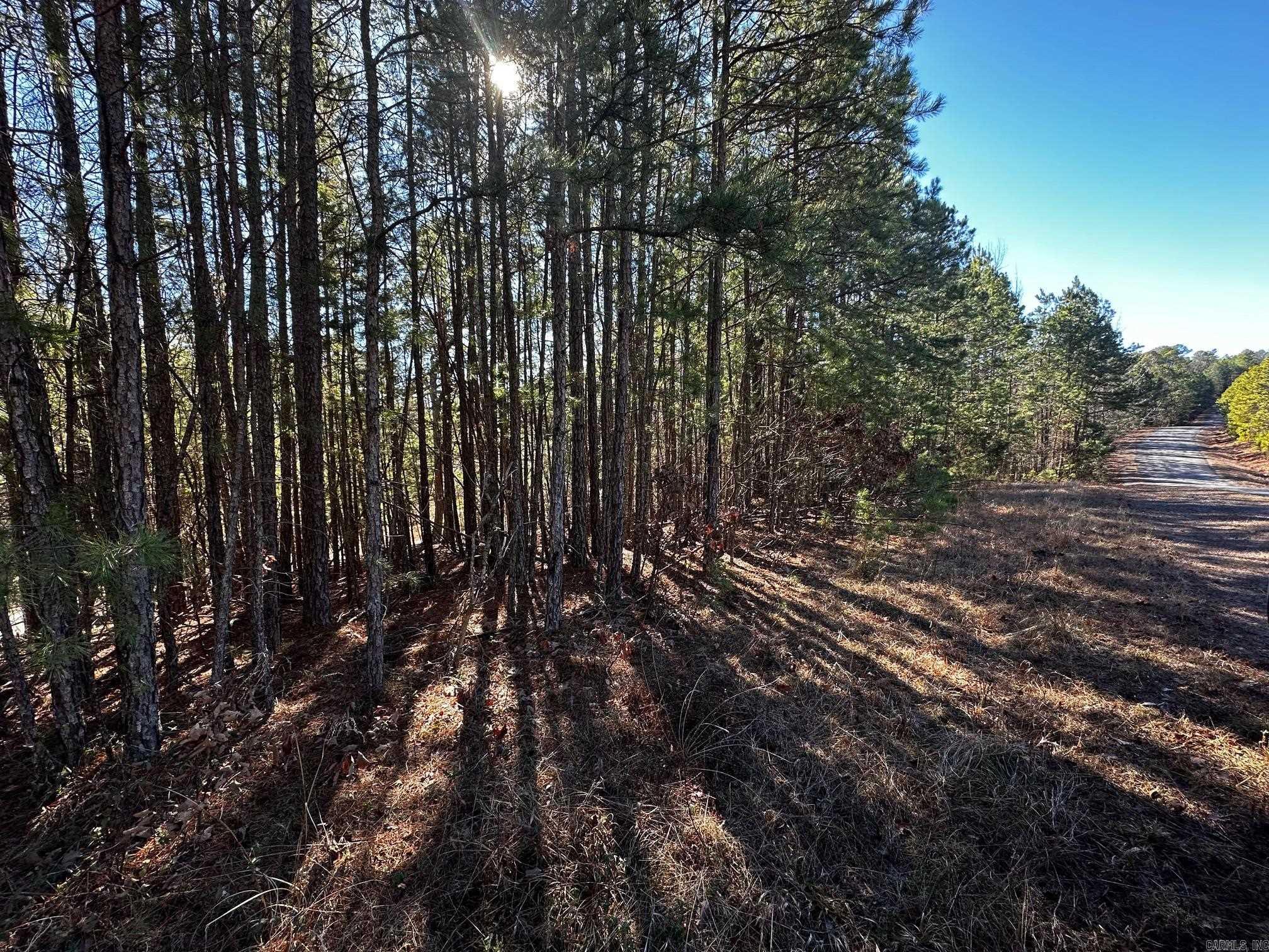 Lot 108 Cobalt Bay Drive Property Photo 3