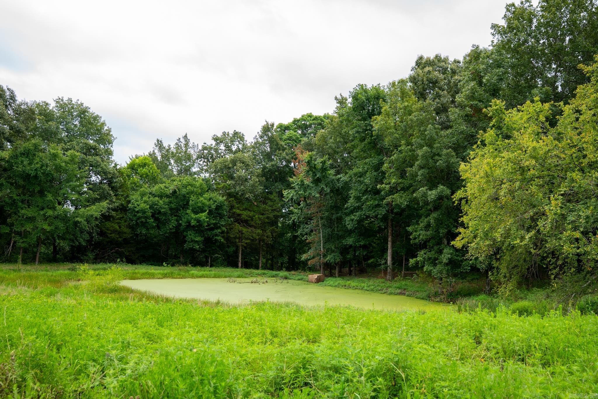 Tbd Meadows Court Property Photo 8