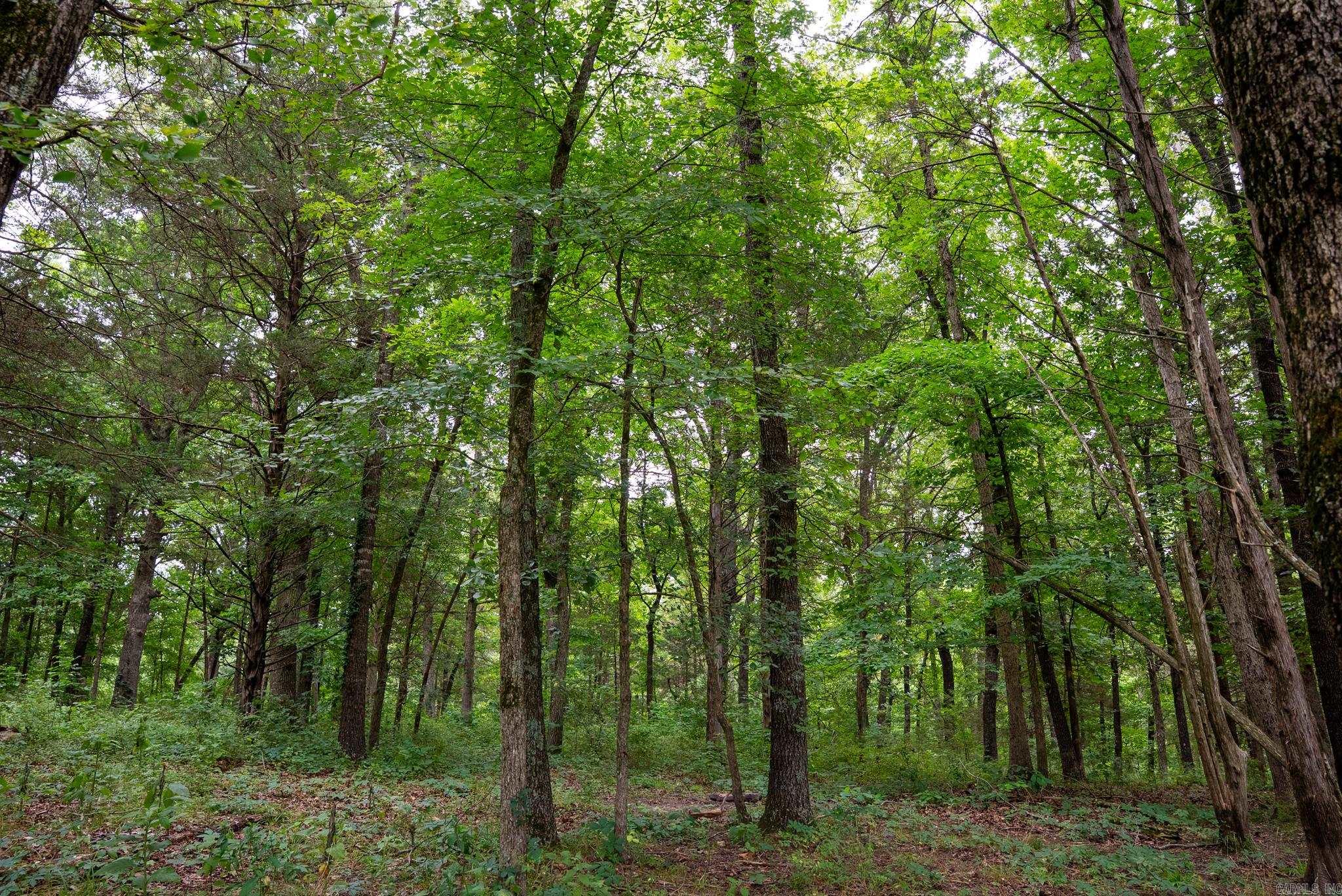 Tbd Meadows Court Property Photo 14
