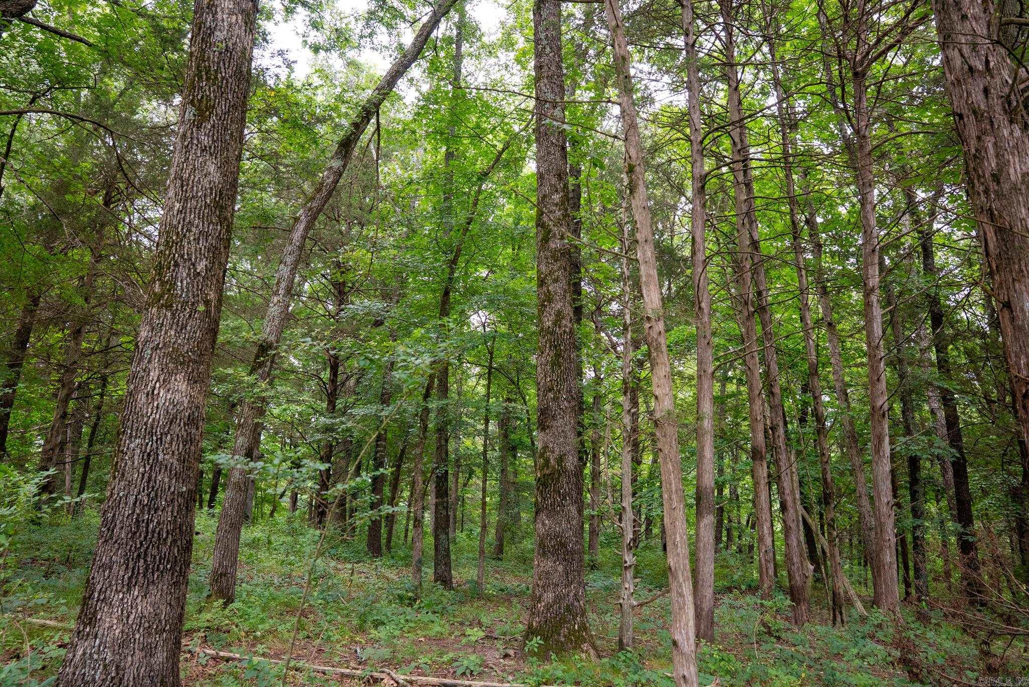 Tbd Meadows Court Property Photo 15
