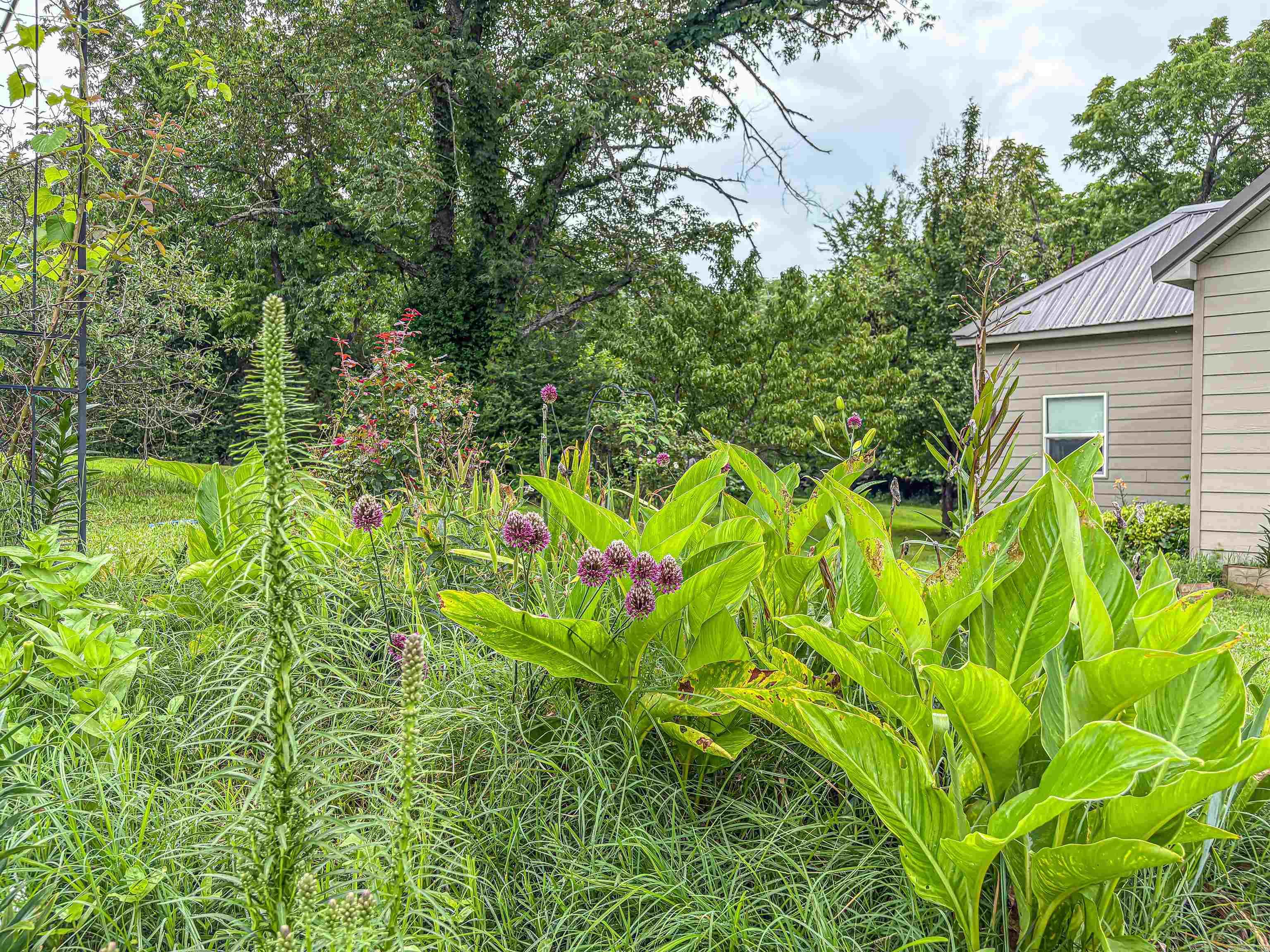 504 Mclean Avenue Property Photo 14