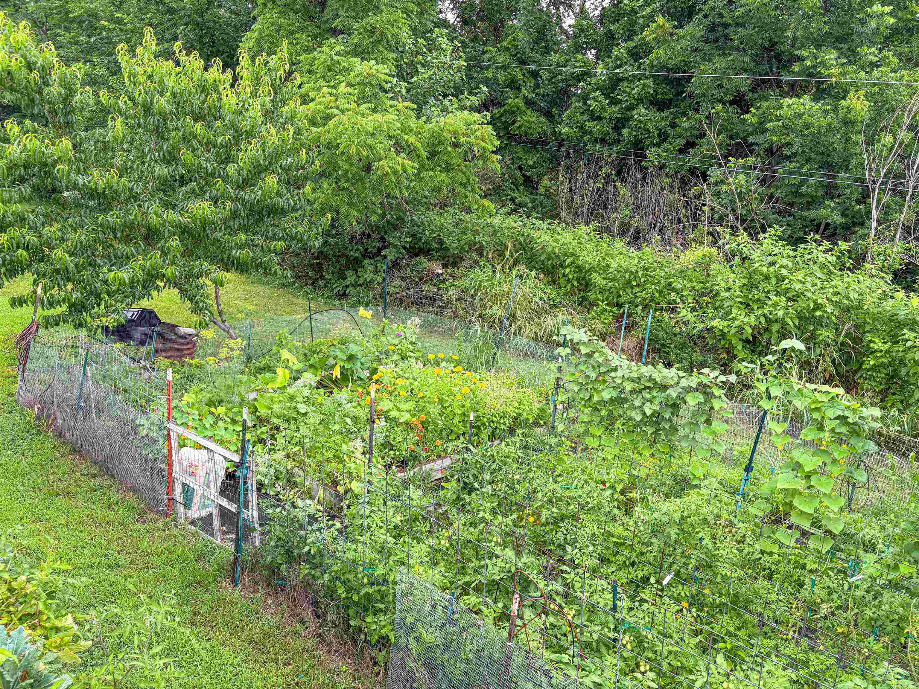 504 Mclean Avenue Property Photo 16
