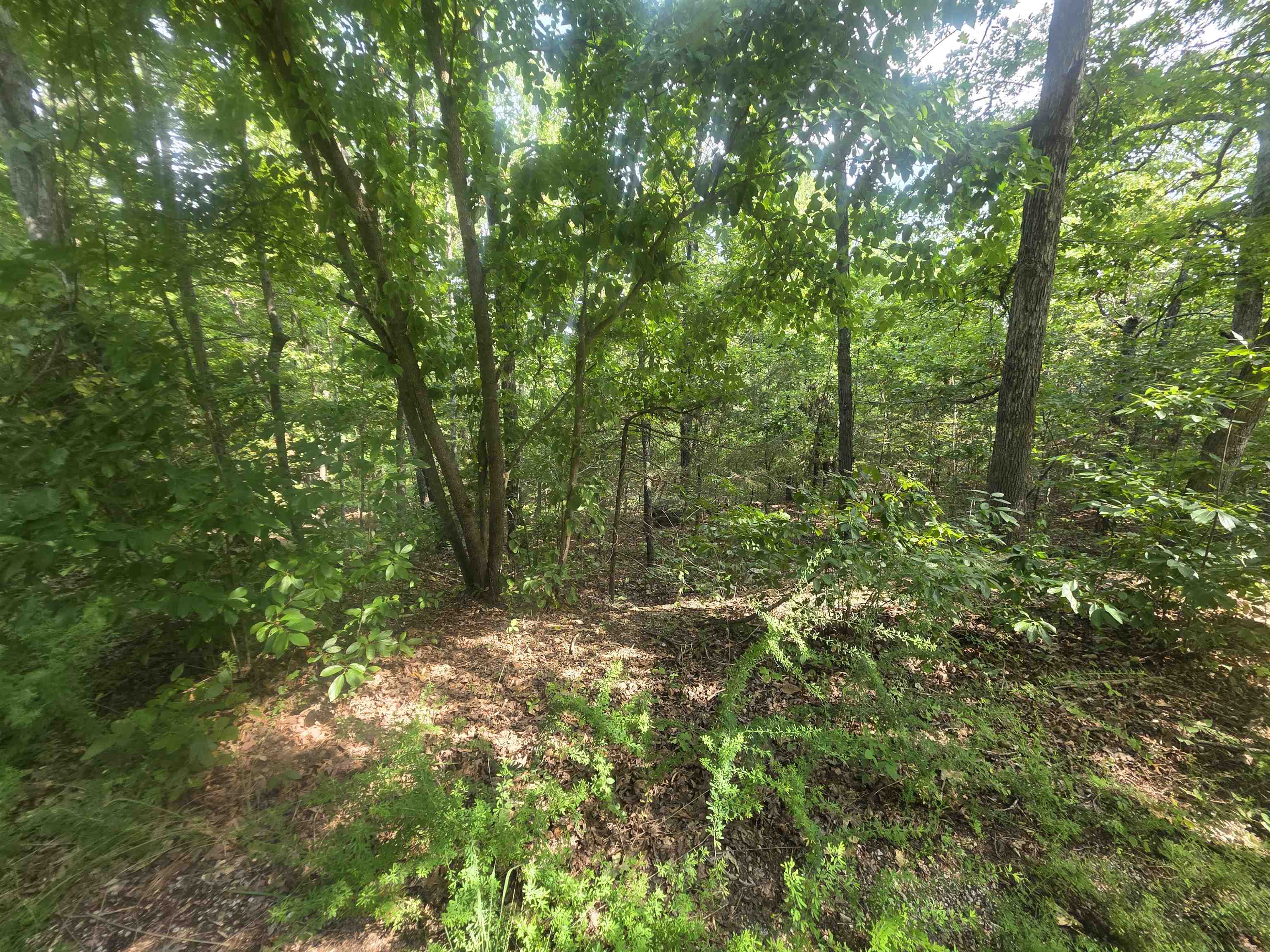 L10B4 Anadarko Drive Property Photo 1