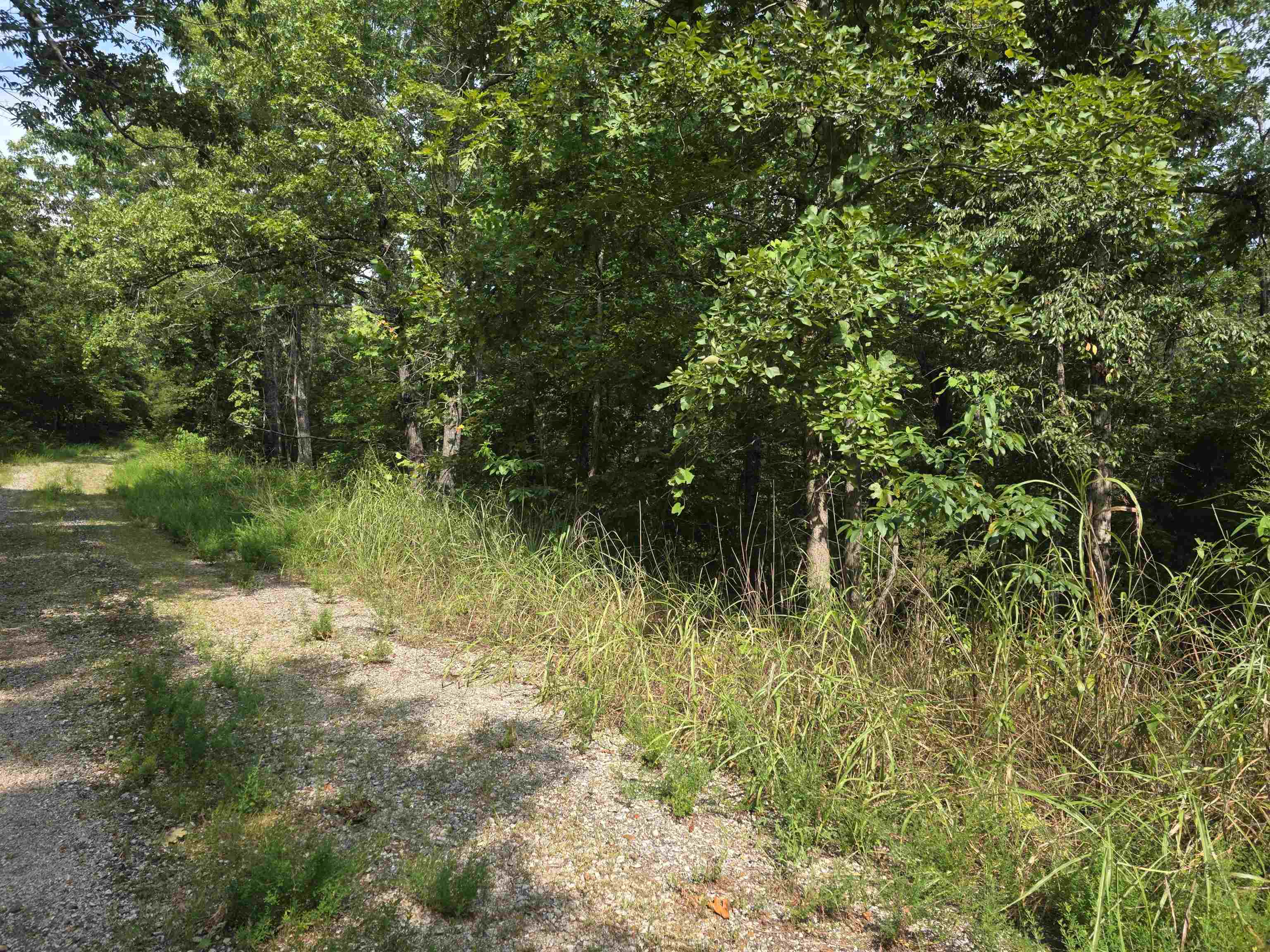 L10b4 Anadarko Drive Property Photo 3