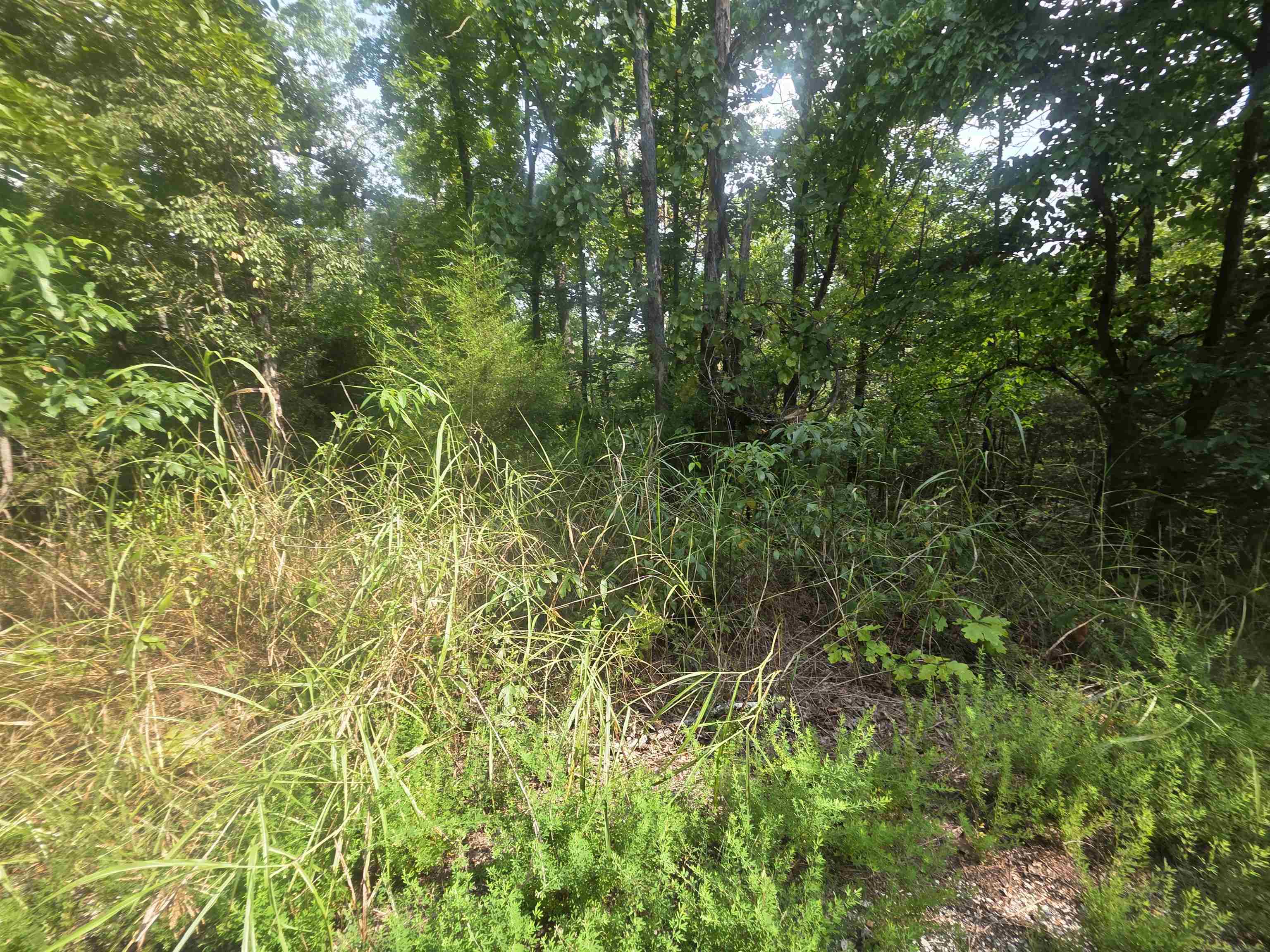L10b4 Anadarko Drive Property Photo 6