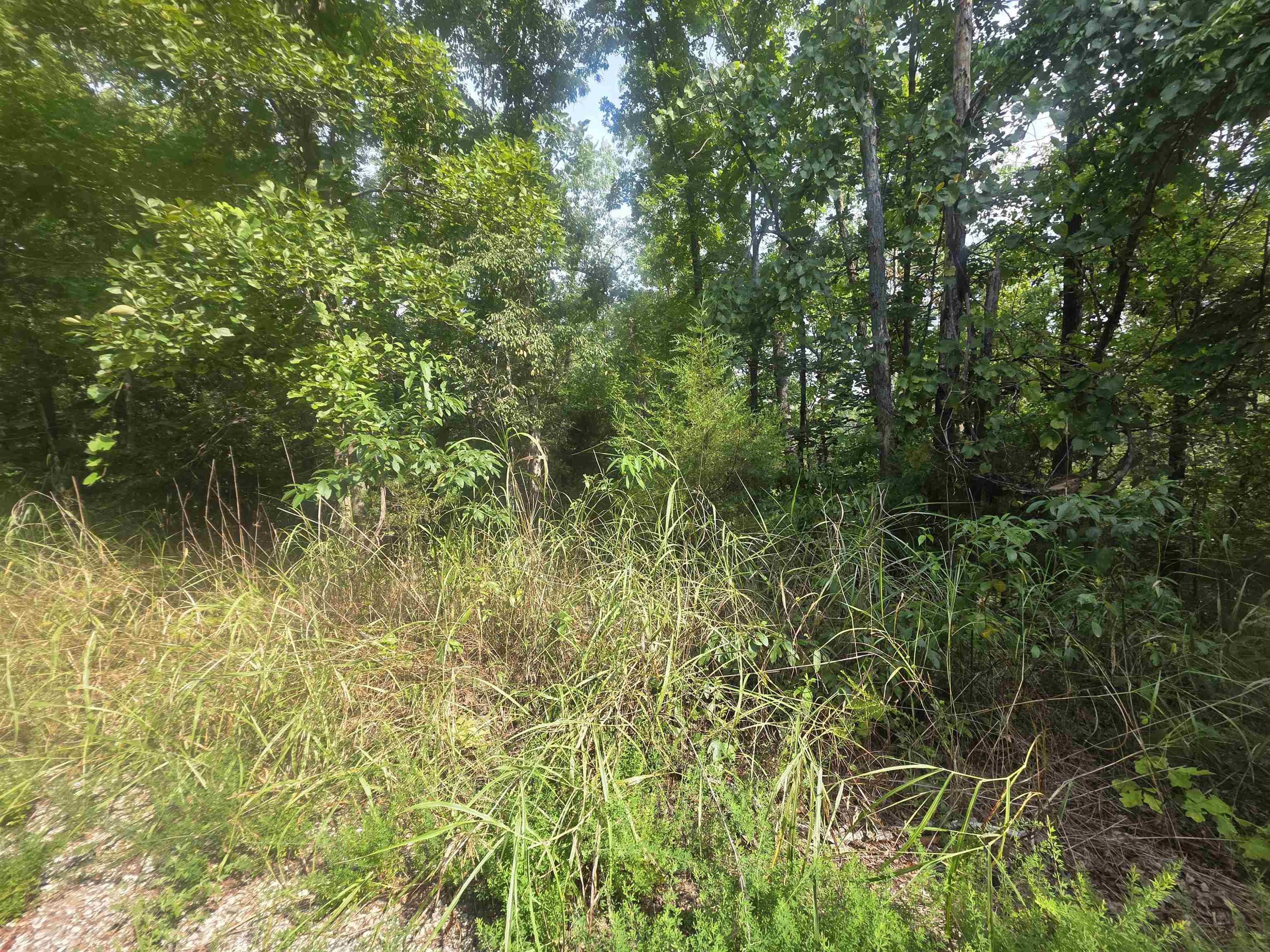 L10b4 Anadarko Drive Property Photo 7