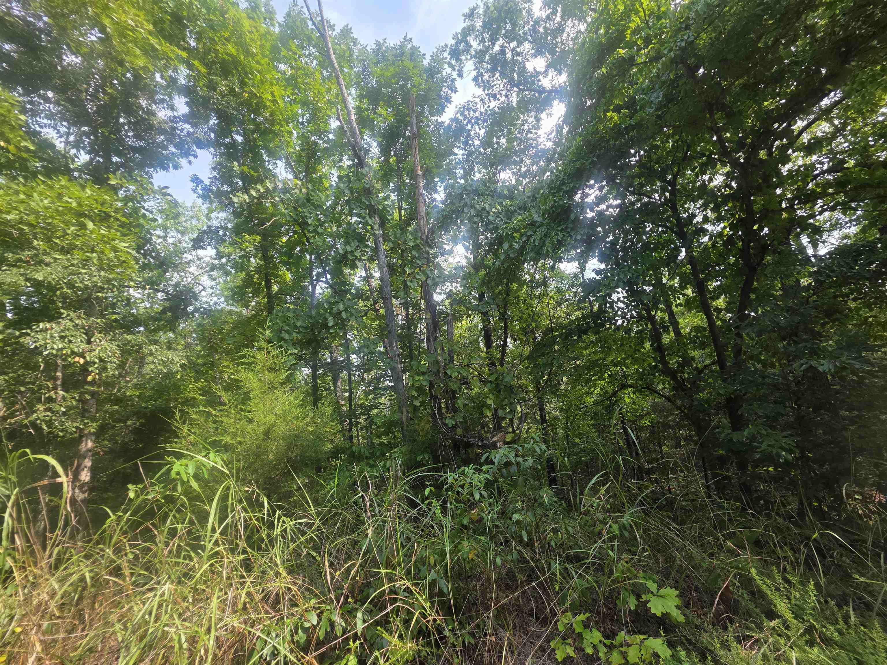 L10b4 Anadarko Drive Property Photo 8