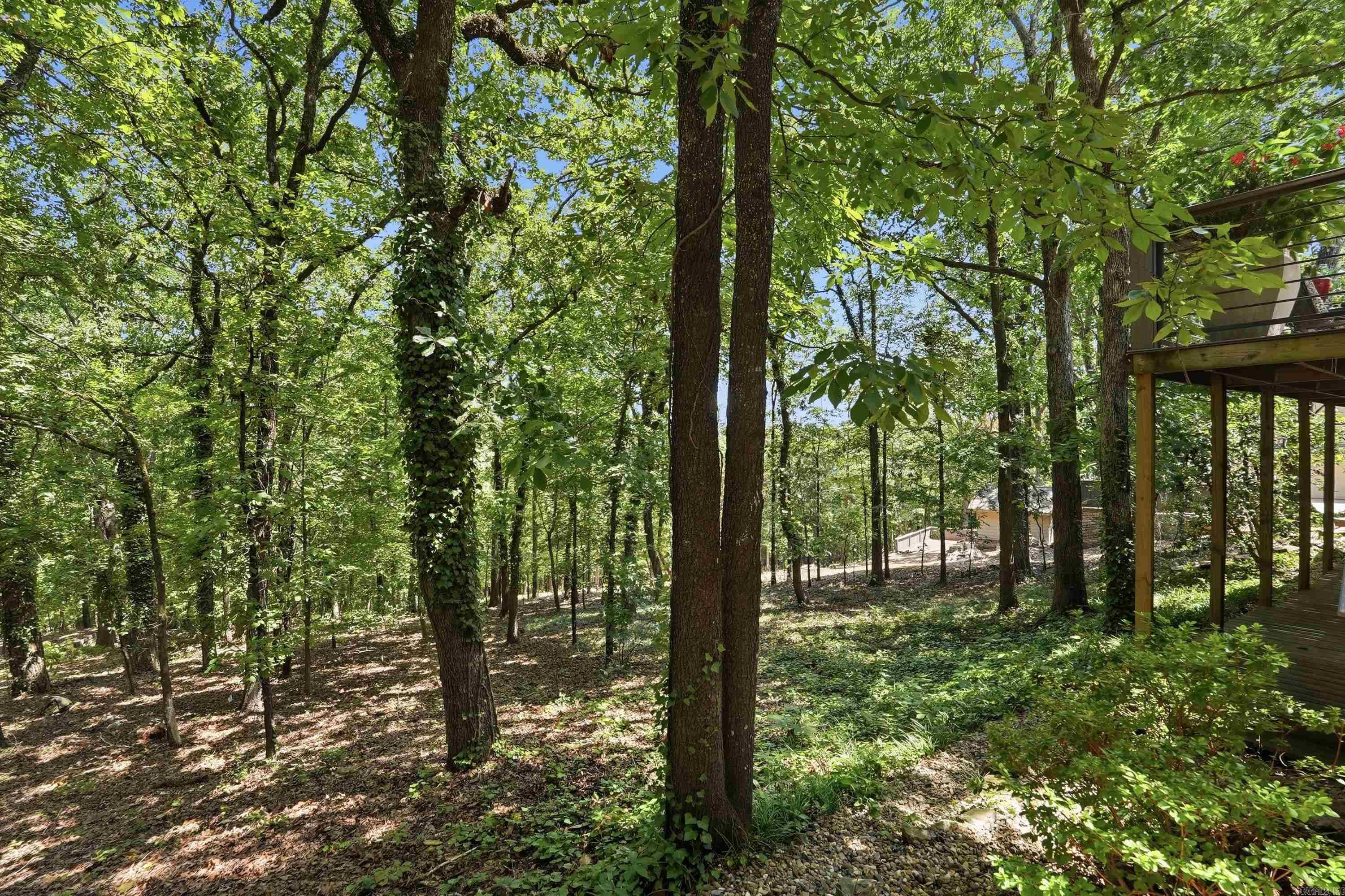 48 Ledgelawn Court Property Photo 45