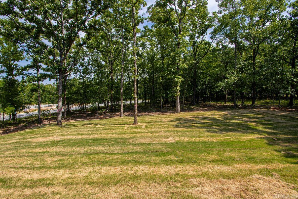 1104 Dowden Lane Property Photo 34