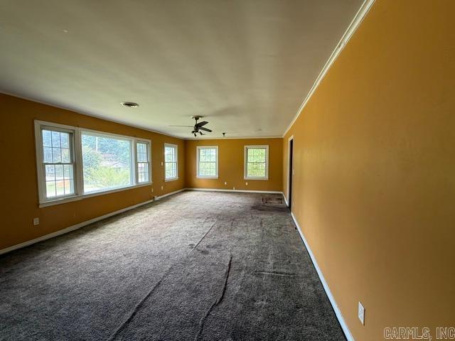 1415 Williamson Street Property Photo 9