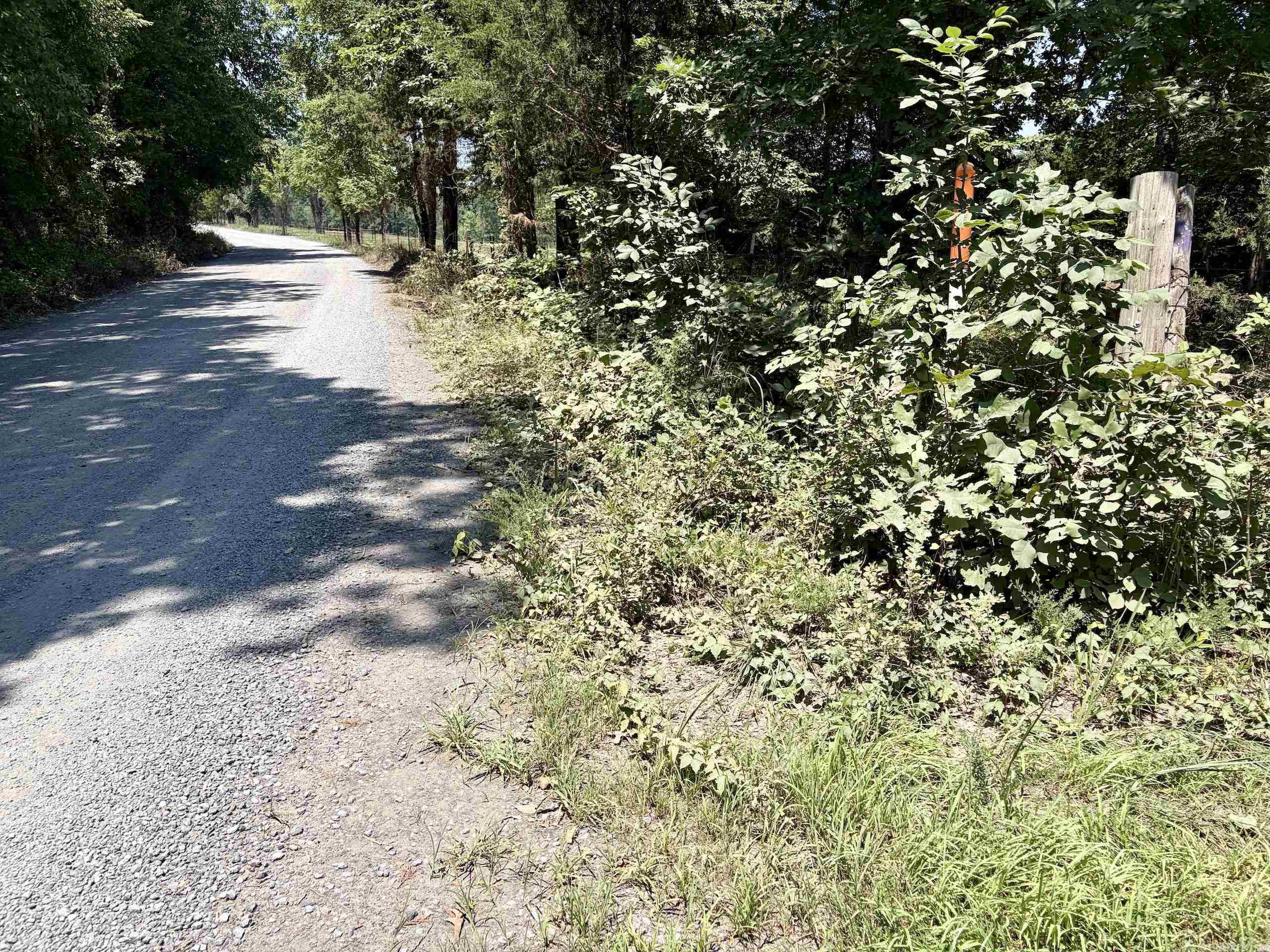 000 Plant Church Road Property Photo 7