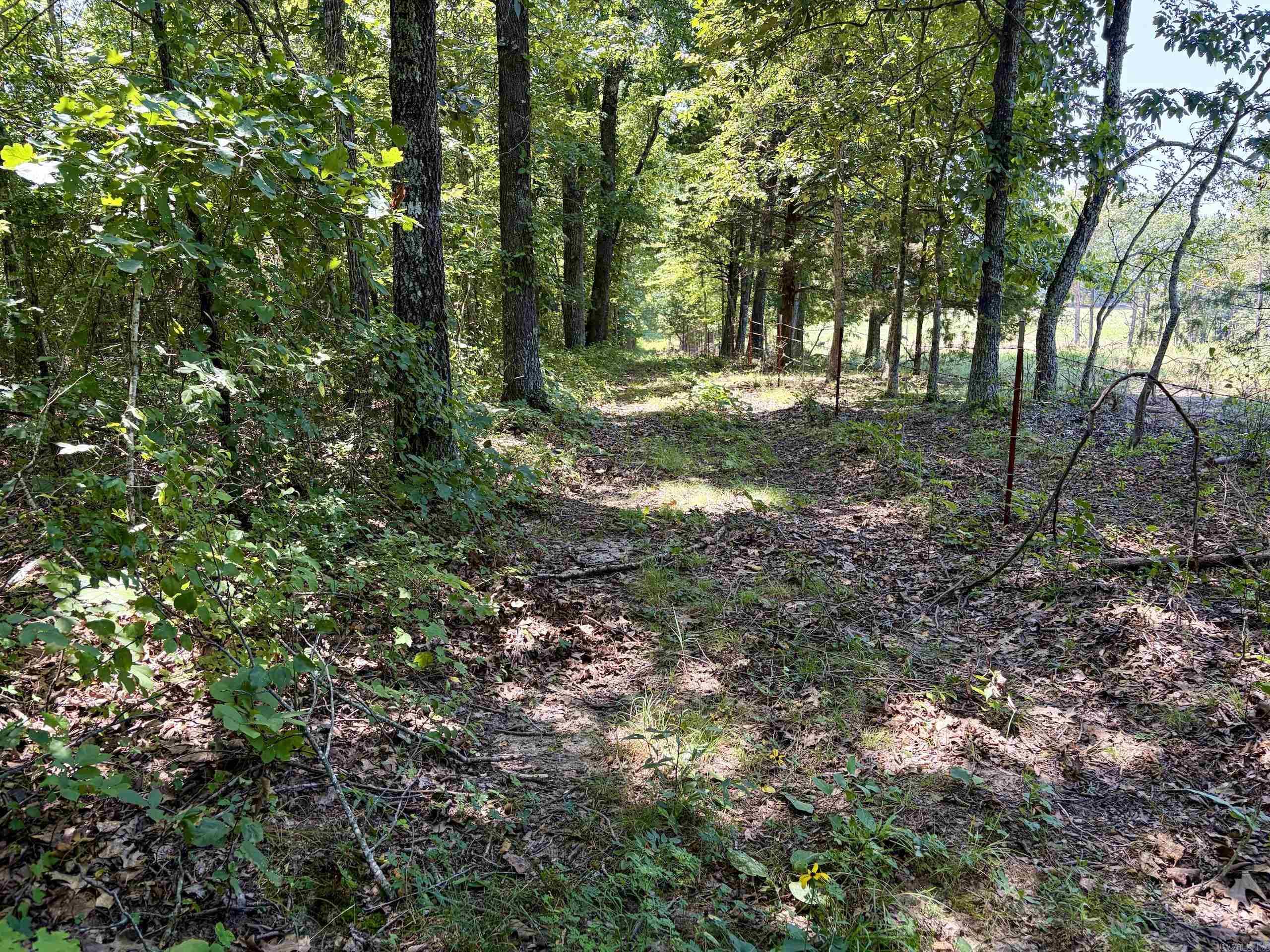 000 Plant Church Road Property Photo 10