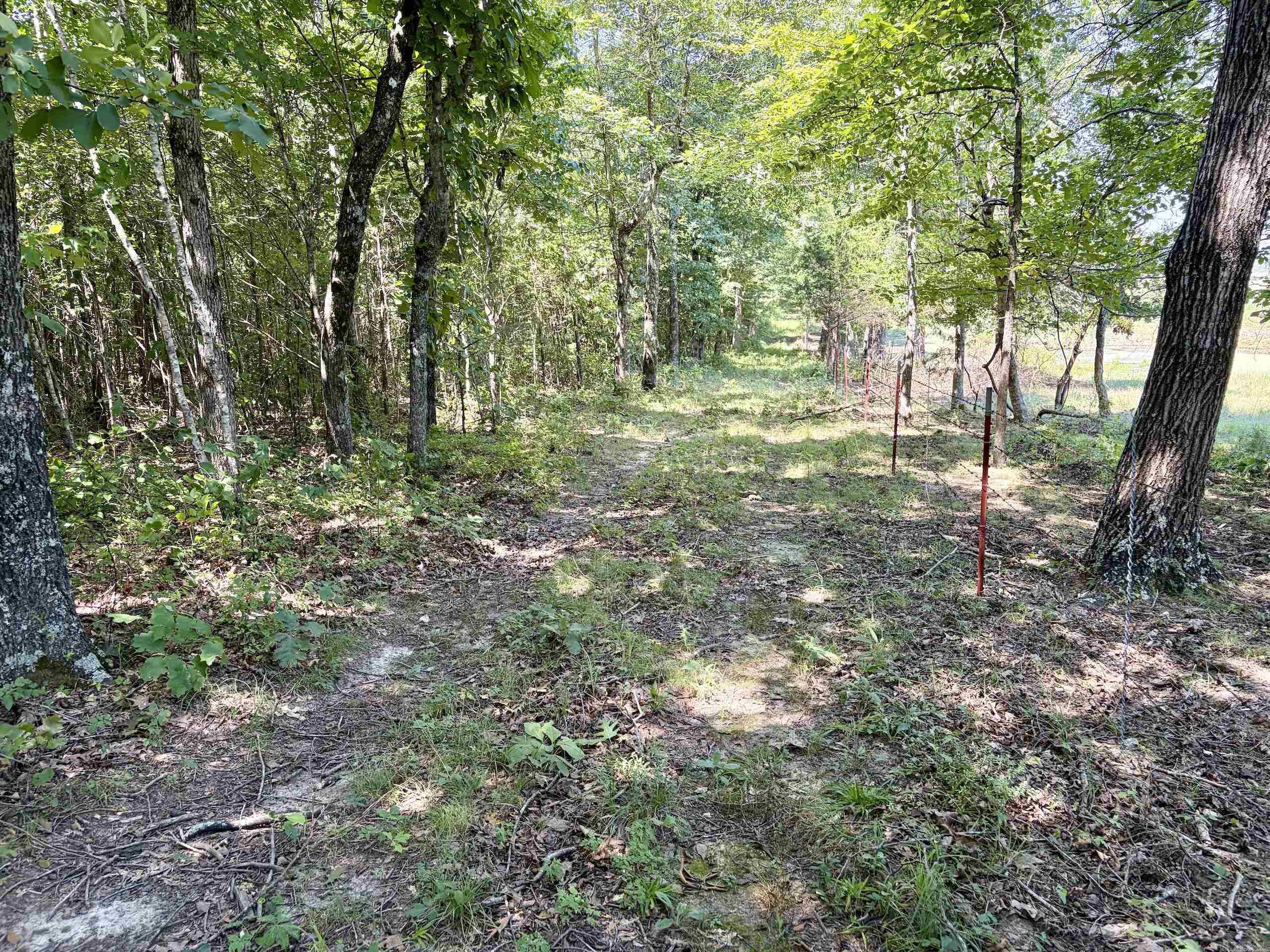 000 Plant Church Road Property Photo 11
