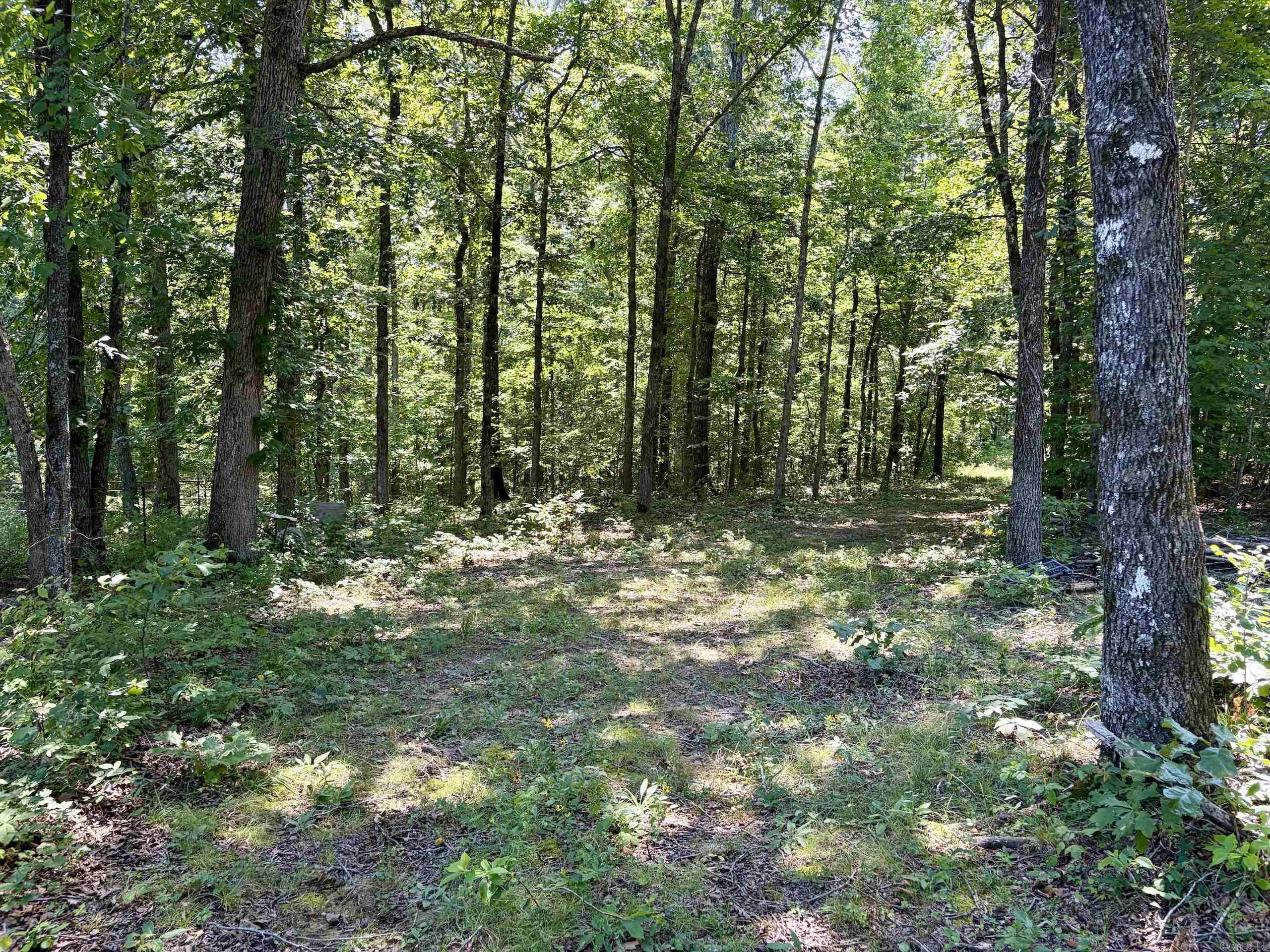 000 Plant Church Road Property Photo 12
