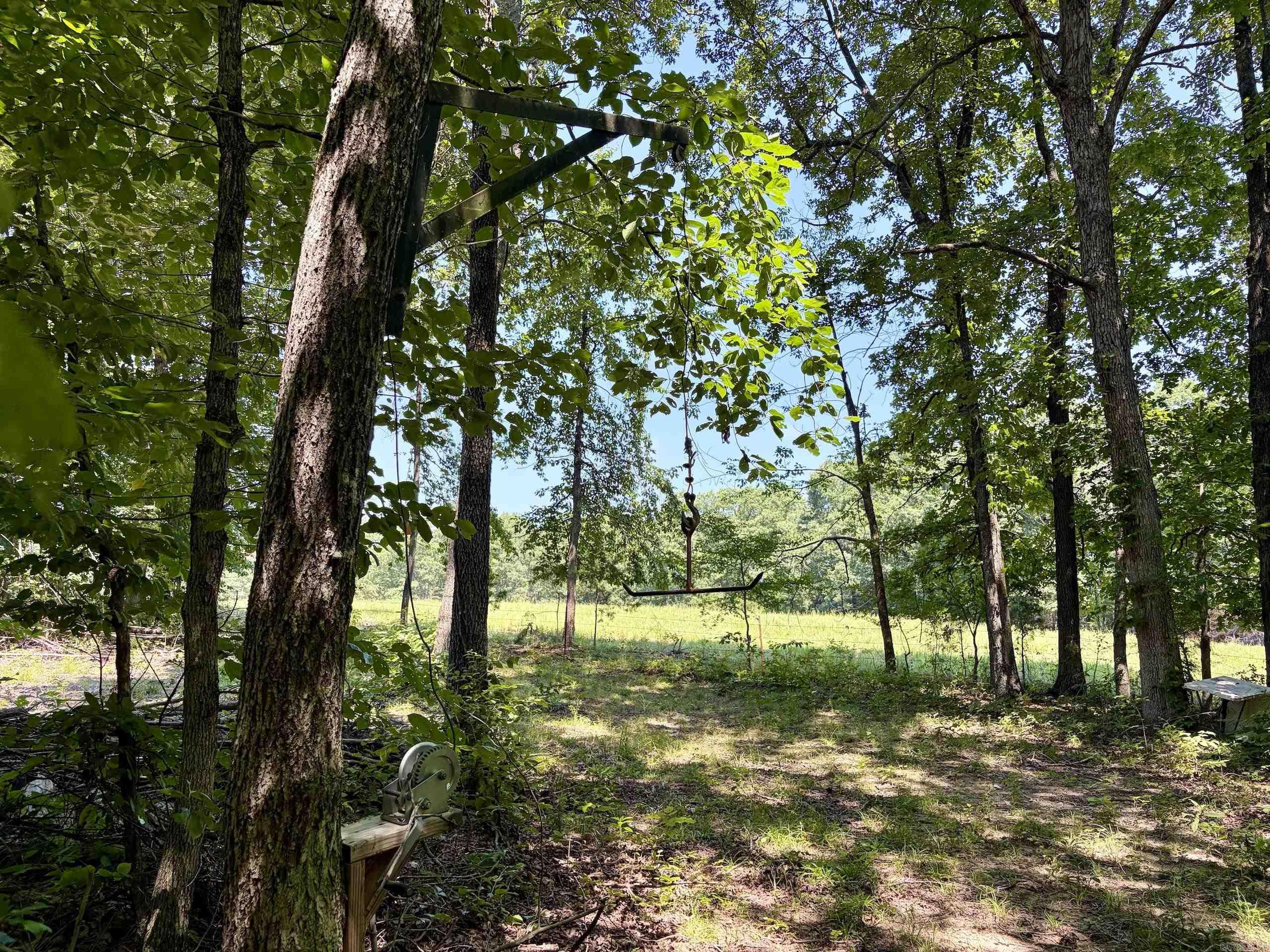 000 Plant Church Road Property Photo 13