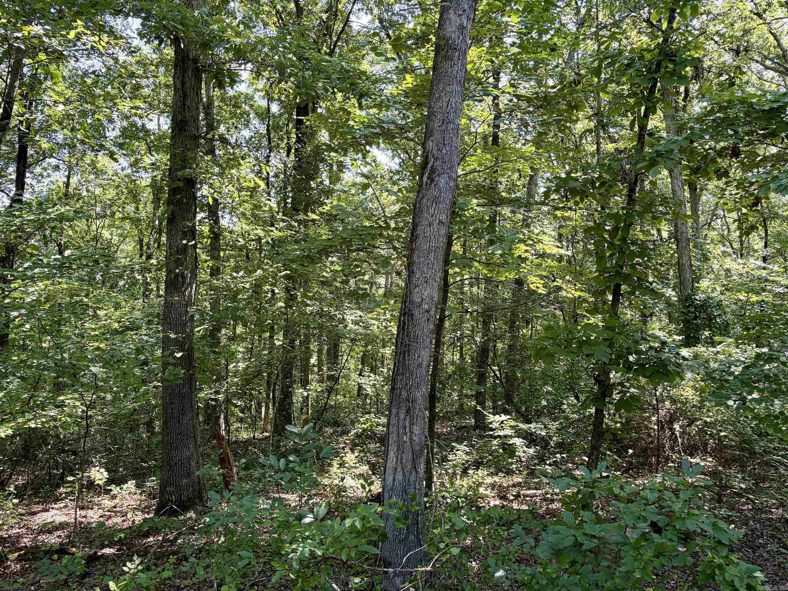 000 Plant Church Road Property Photo 14