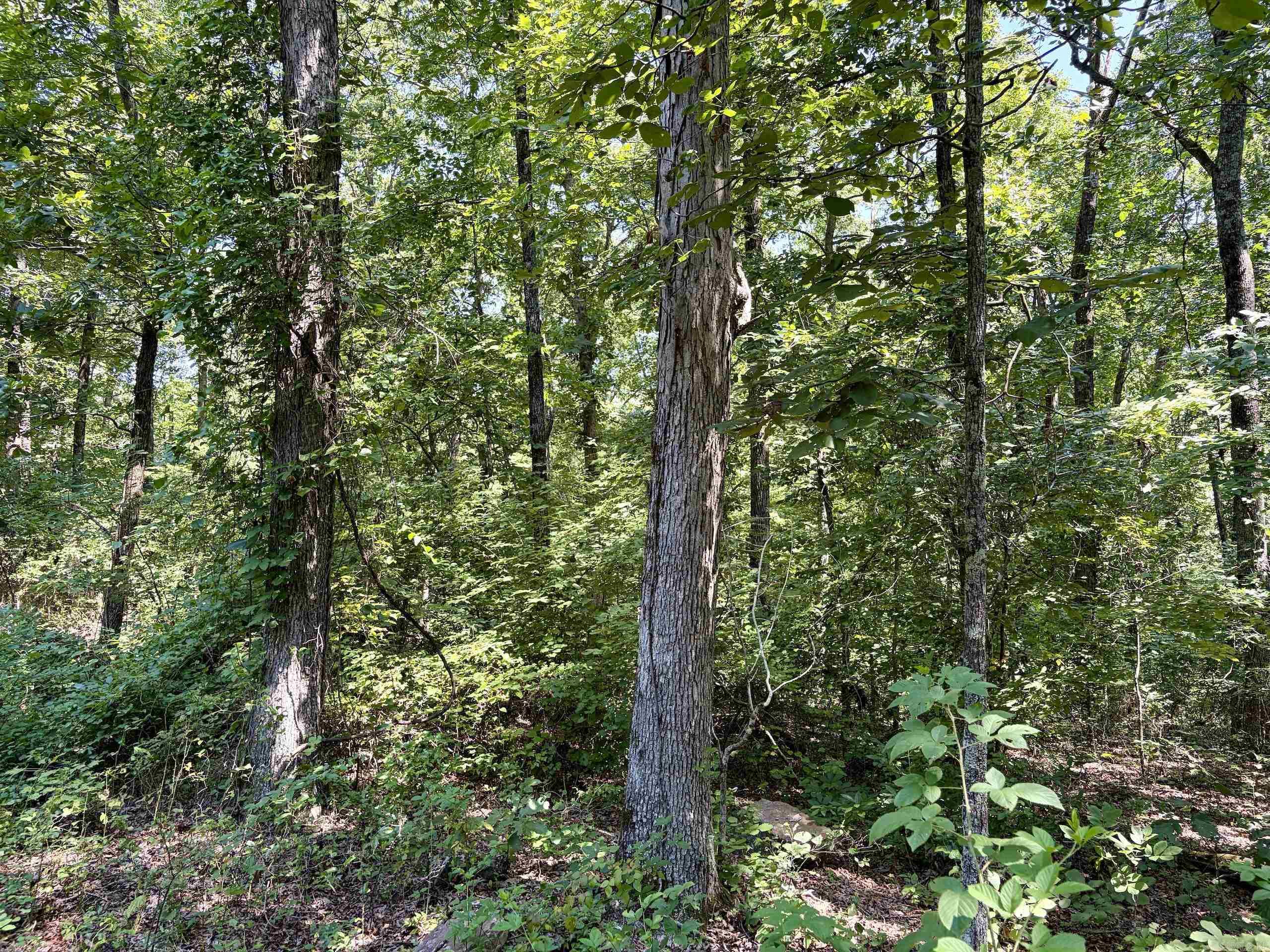 000 Plant Church Road Property Photo 15