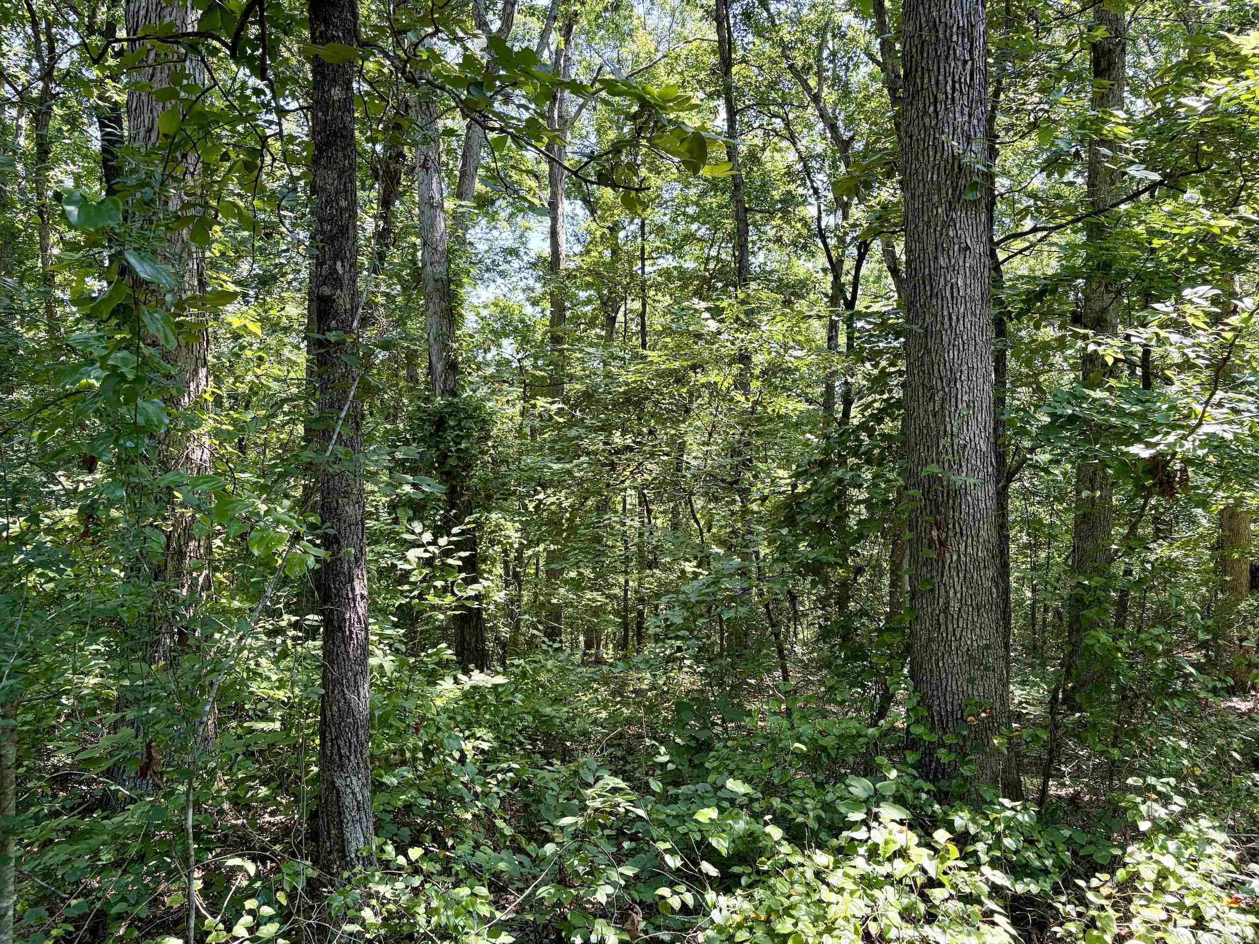 000 Plant Church Road Property Photo 16