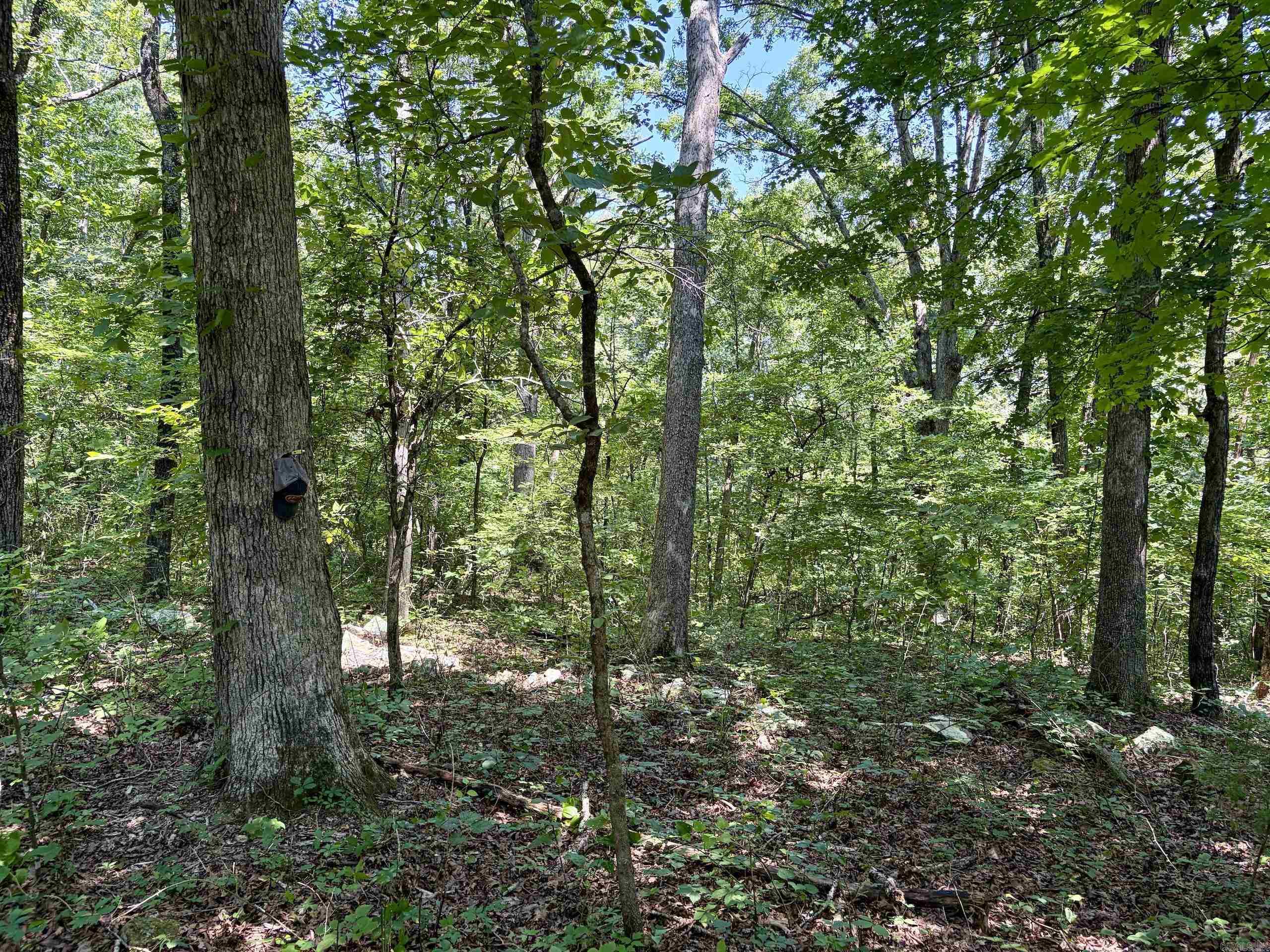 000 Plant Church Road Property Photo 18