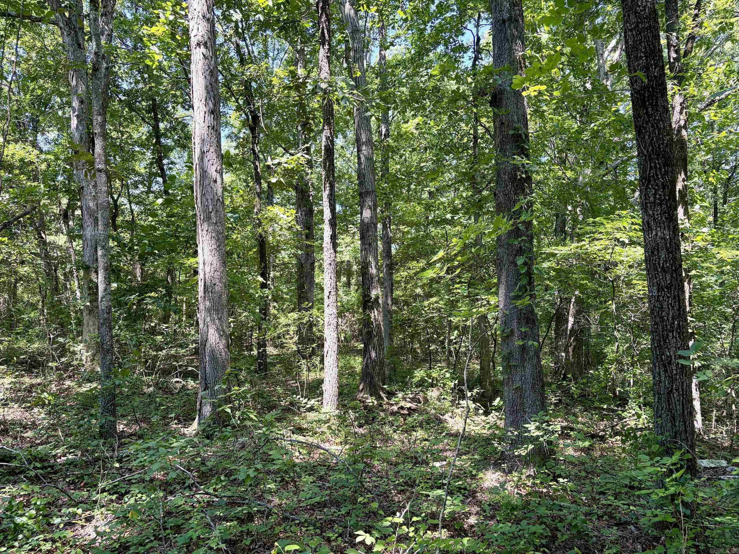 000 Plant Church Road Property Photo 19