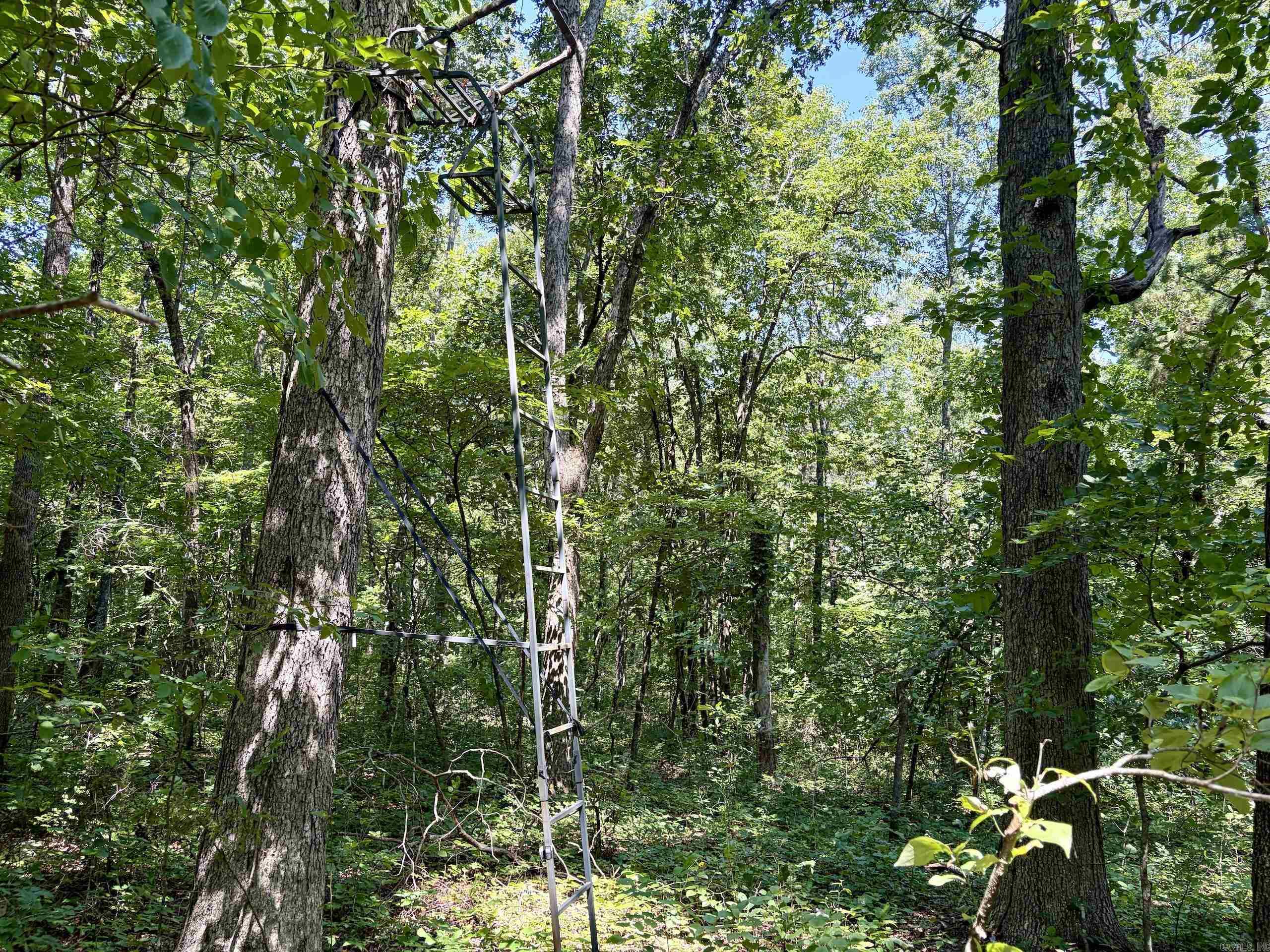000 Plant Church Road Property Photo 21