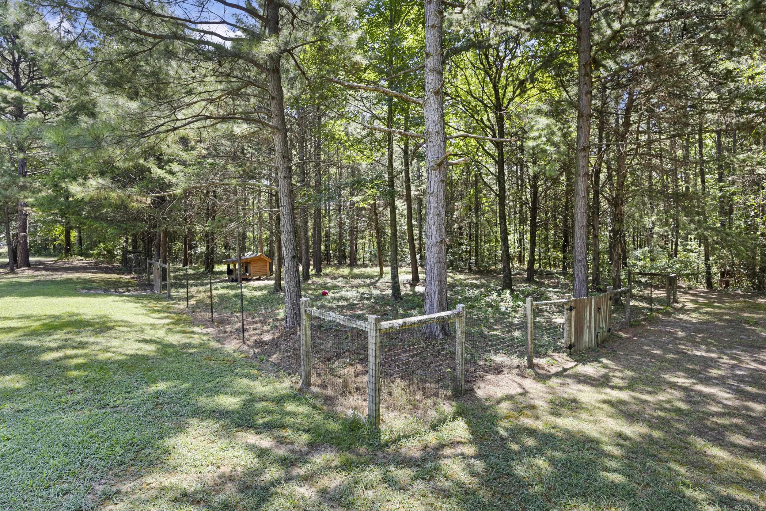 1770 Hwy 124 Property Photo 46