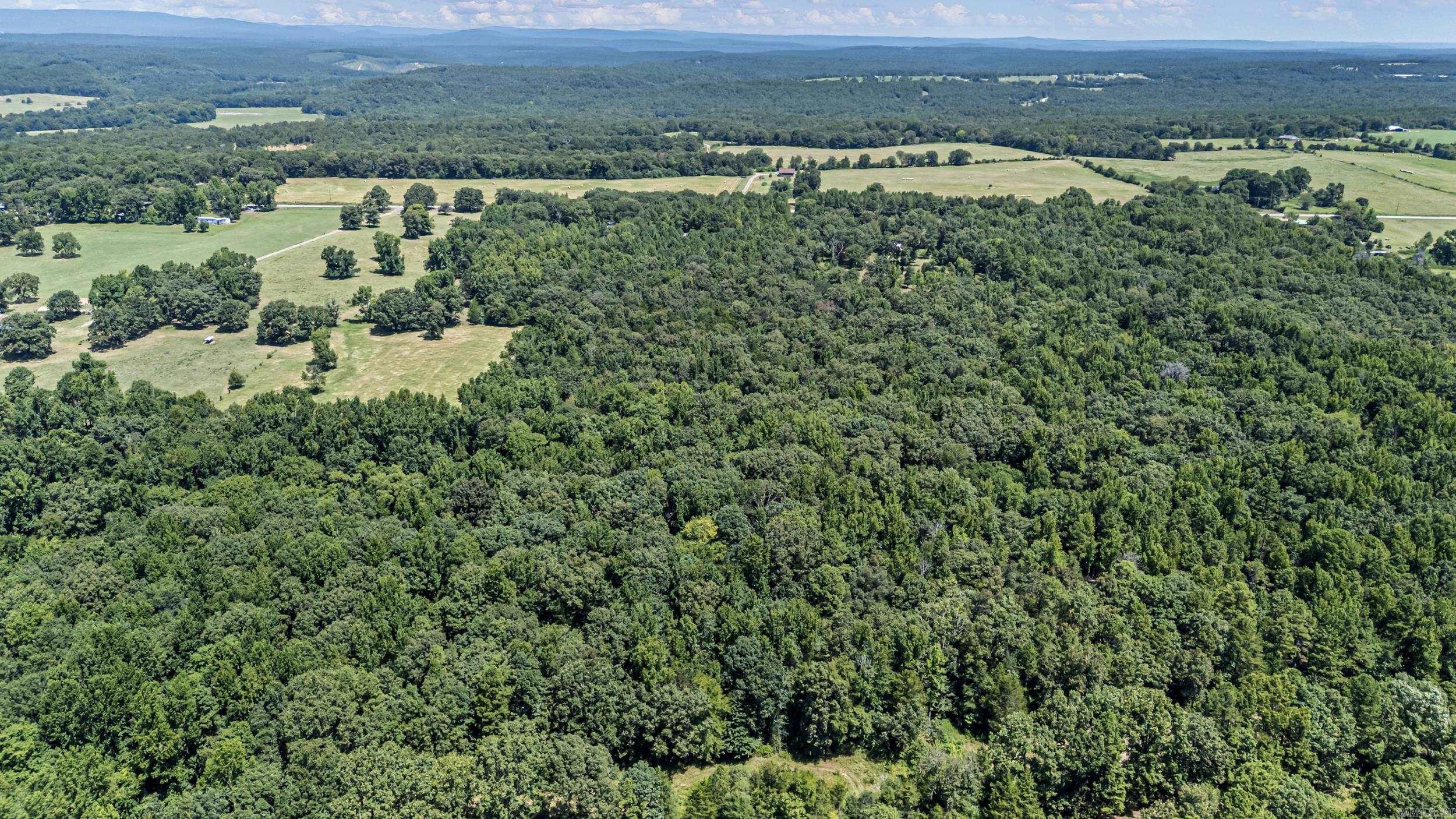 1770 Hwy 124 Property Photo 49