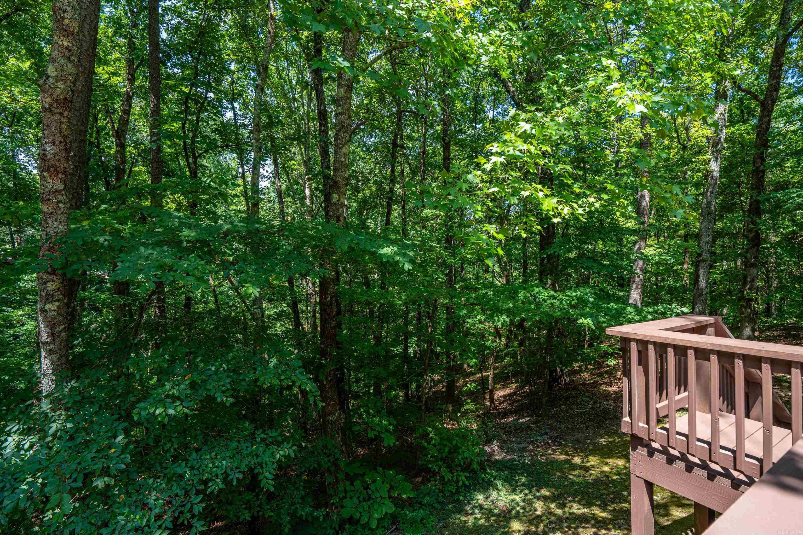 12 Emanuel Drive Property Photo 44