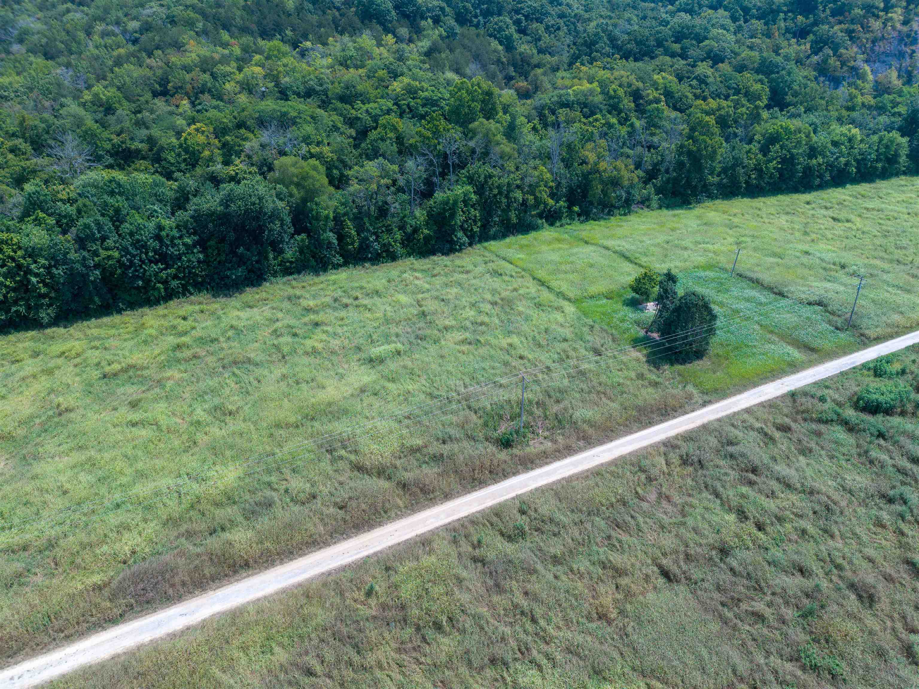 69 White River Run Property Photo 6