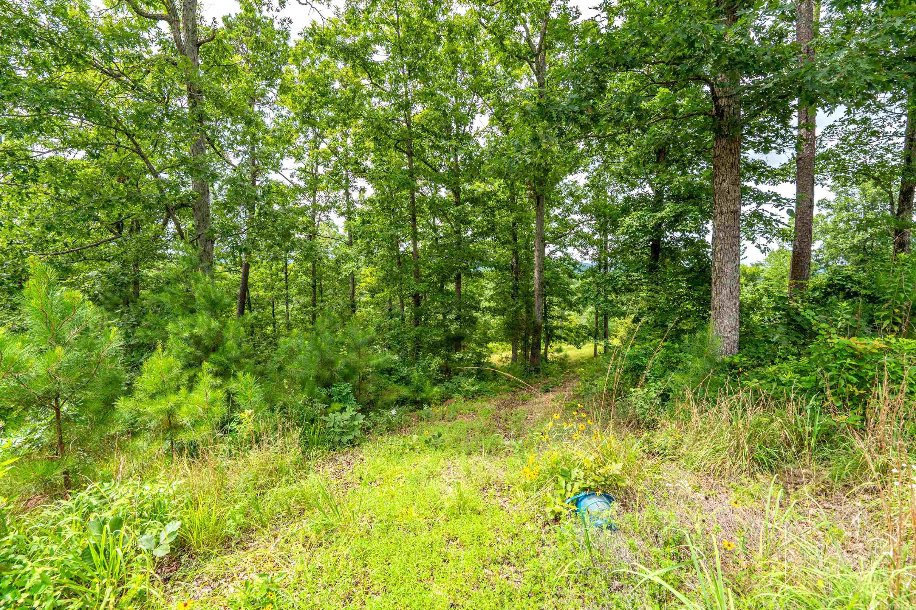 100 W Hawkview Place Property Photo 42