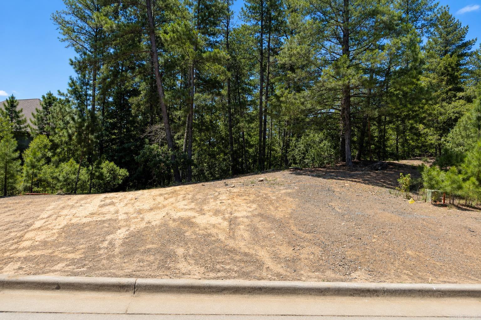 163 Ridgeview Trail Property Photo 1