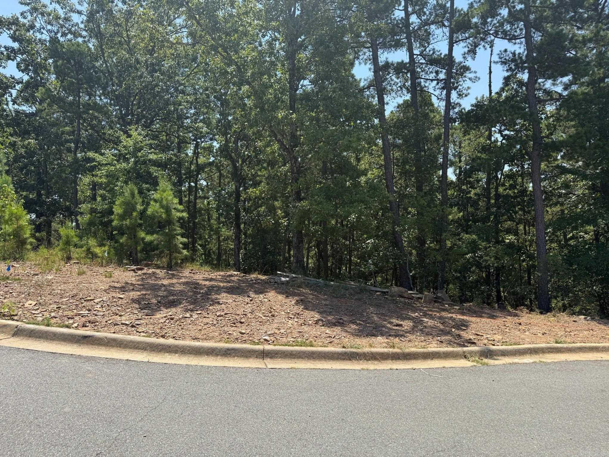 179 Ridgeview Trail Property Photo 4