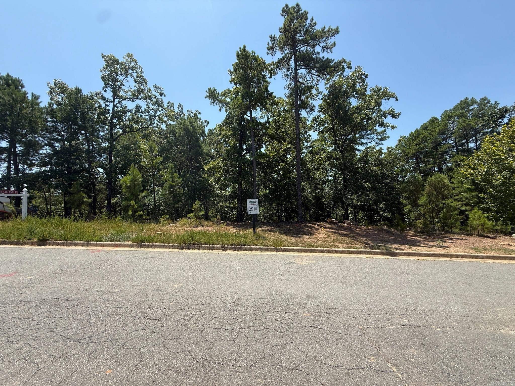 181 Ridgeview Trail Property Photo 1