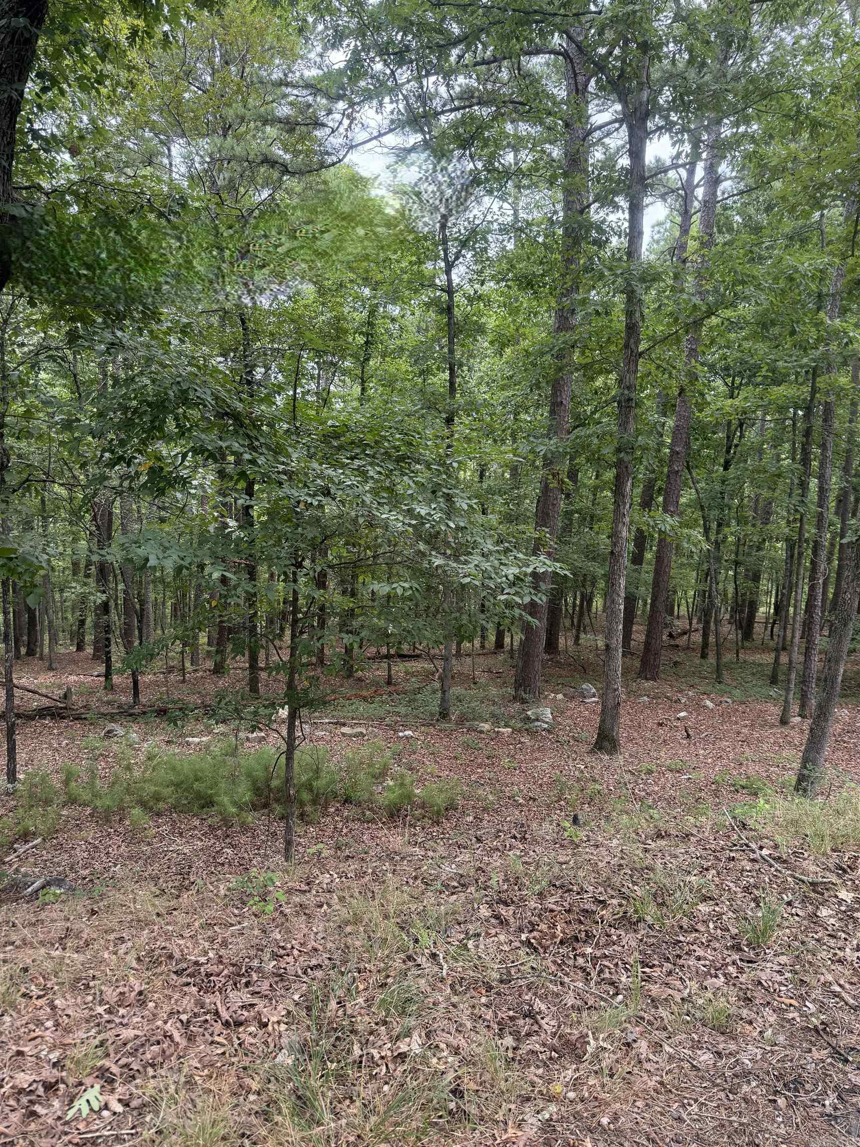42 Gerante Way Property Photo 11