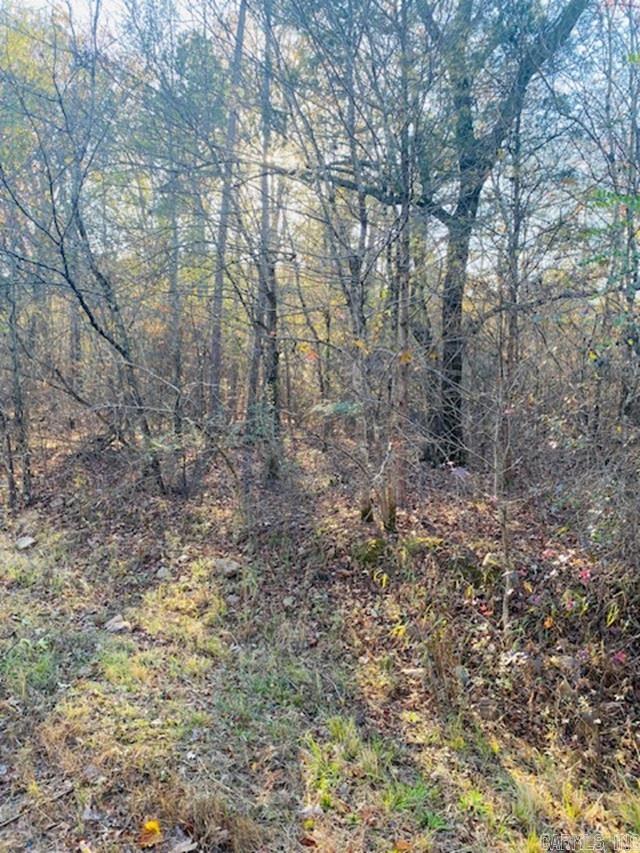 Unk Black Gum Lane Property Photo 1
