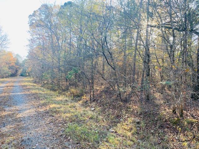 Unk Black Gum Lane Property Photo 2