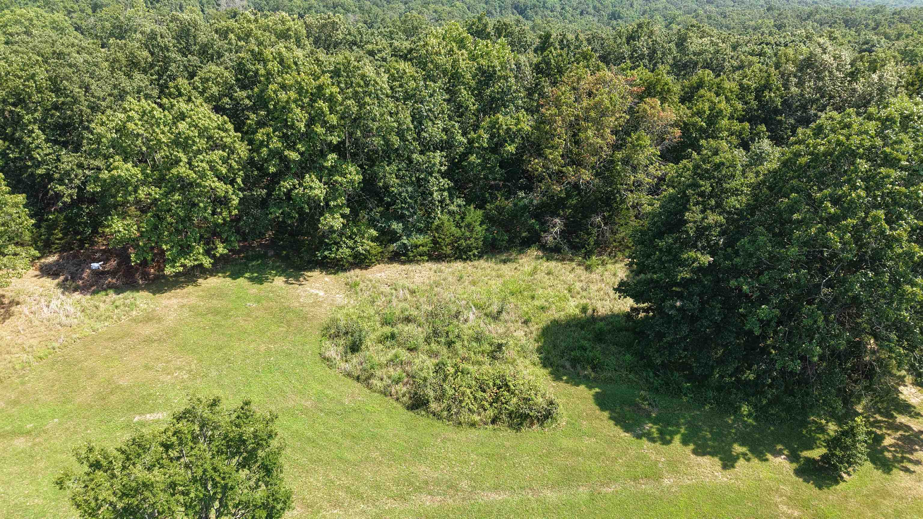 10a Hwy 289 Property Photo 17