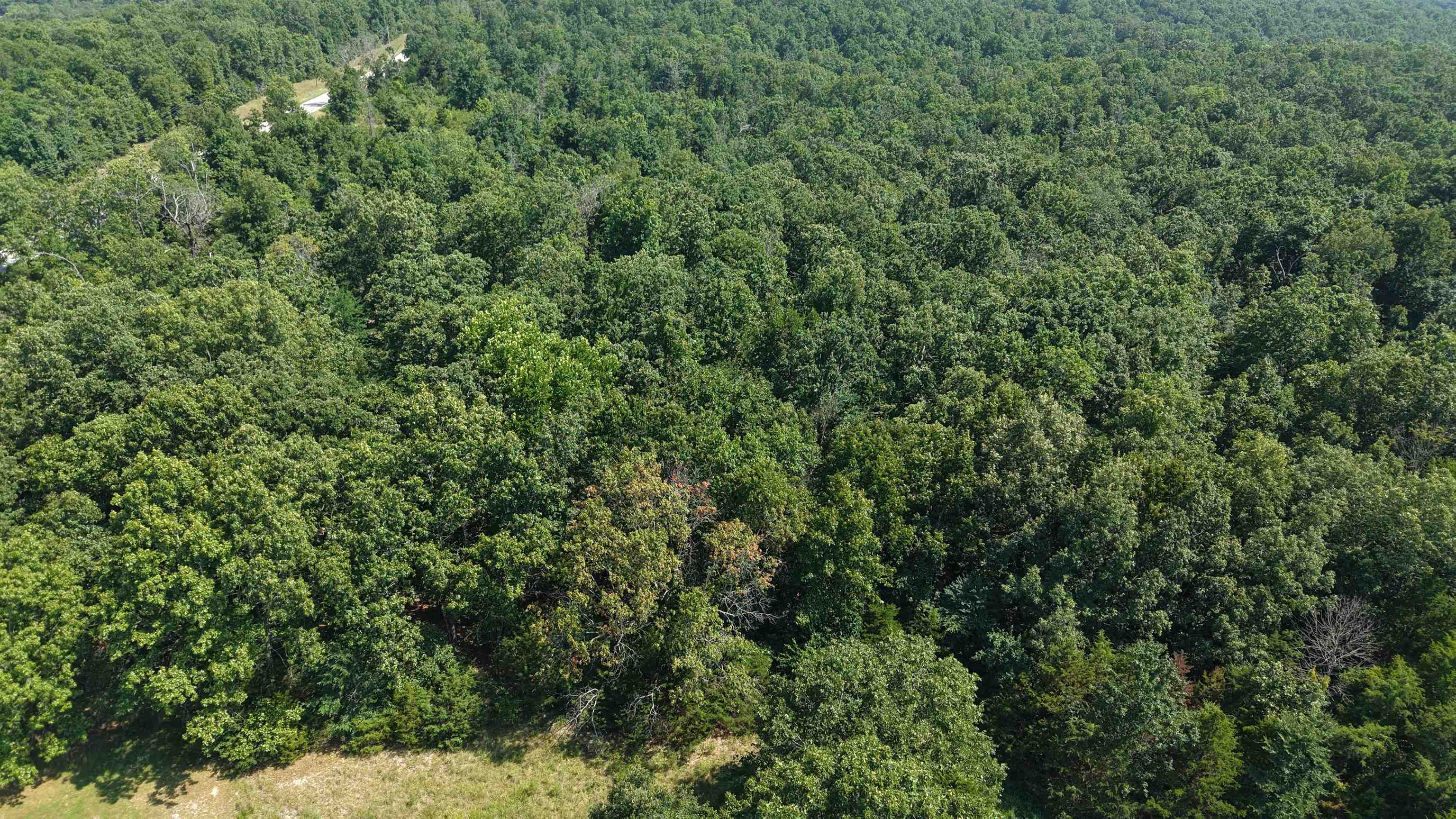10a Hwy 289 Property Photo 18