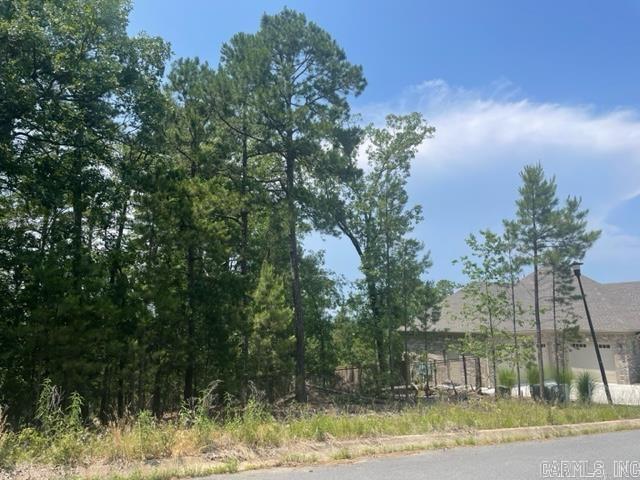 116 AR Majestic Circle Property Photo 1
