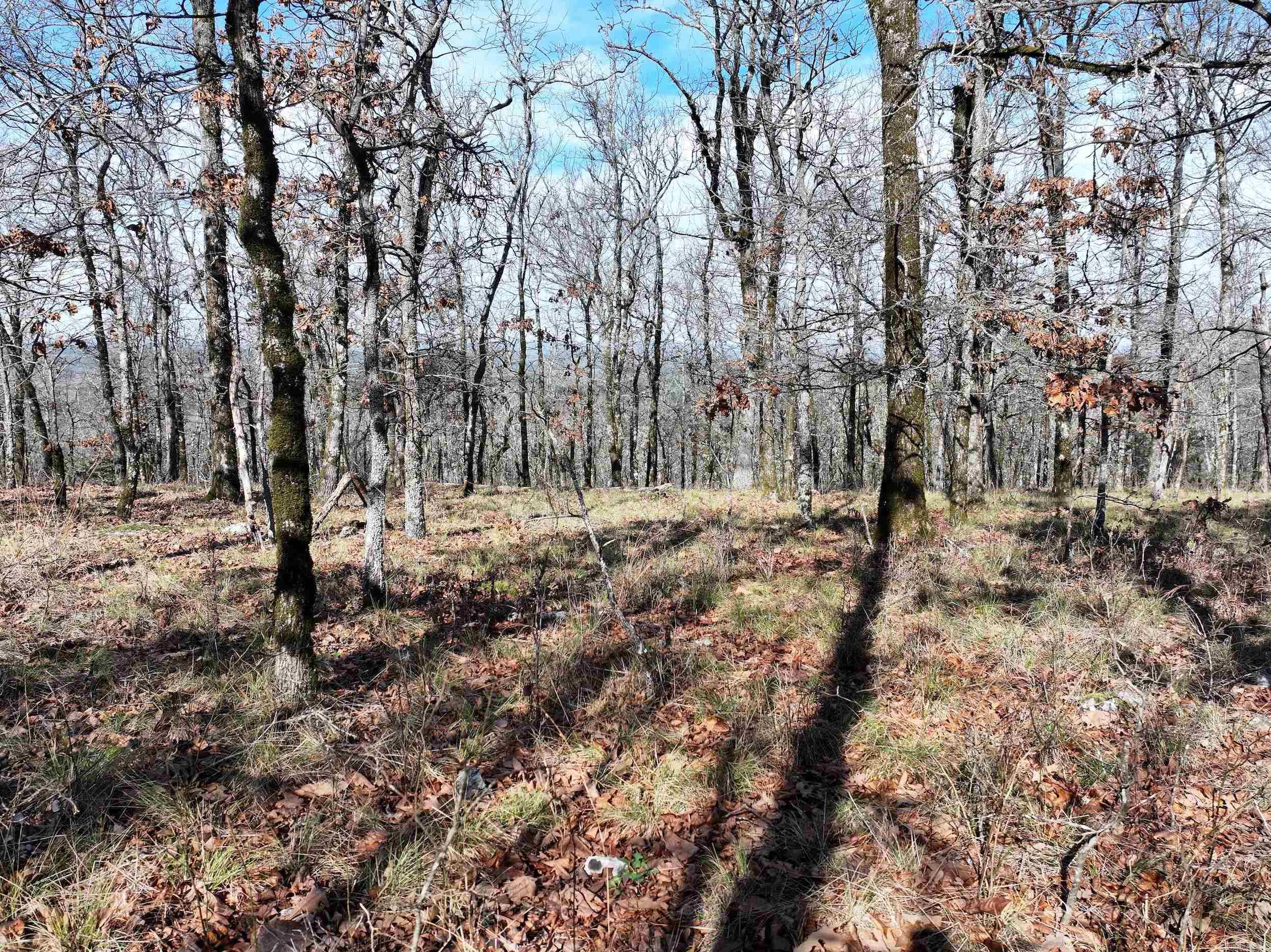 3373 Highway 347 Property Photo 1